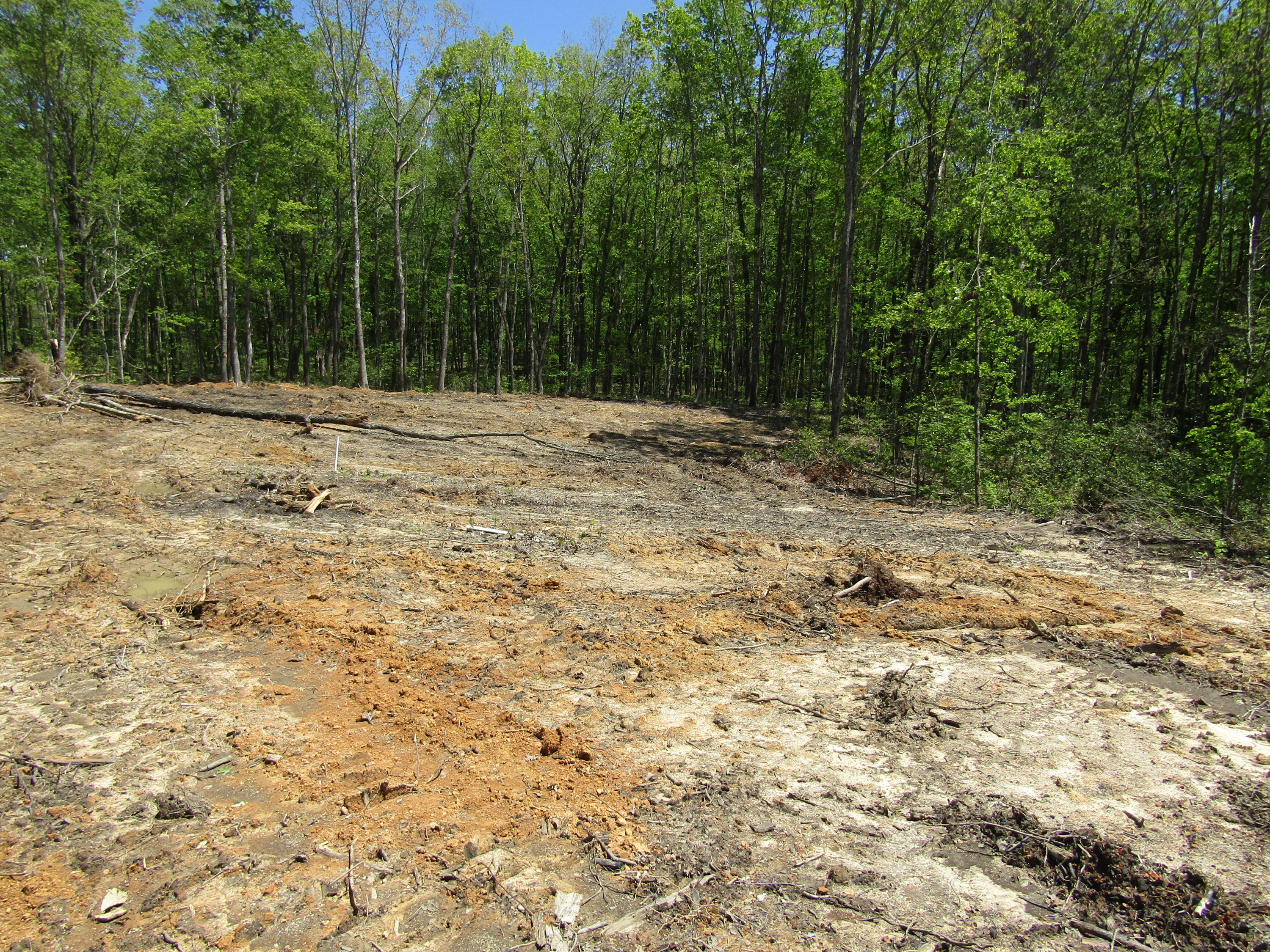 910 Milo Webb Road Crossville, TN 38572 - Photo 13 of 23 Building Site