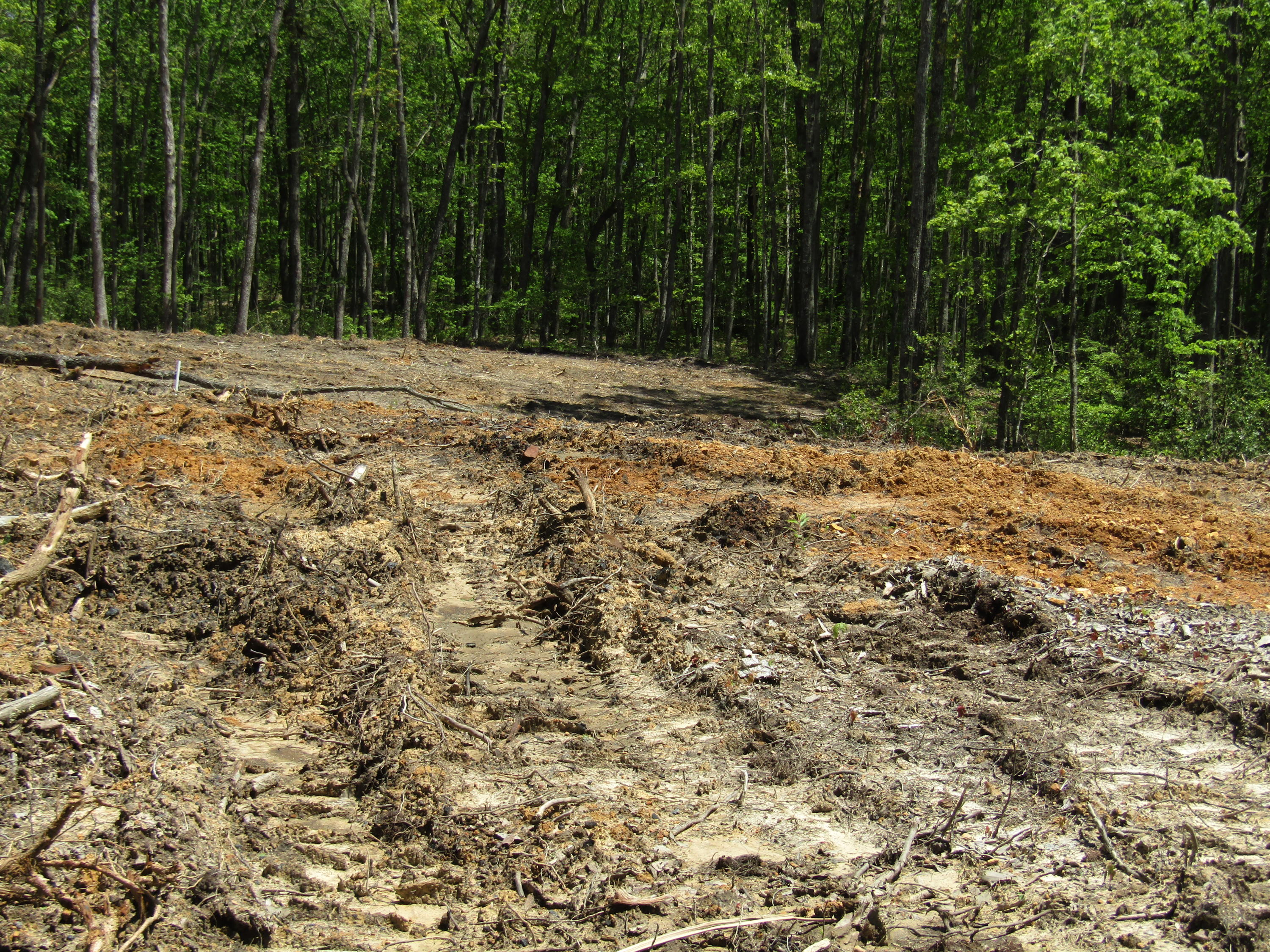 910 Milo Webb Road Crossville, TN 38572 - Photo 16 of 23 Milo Webb