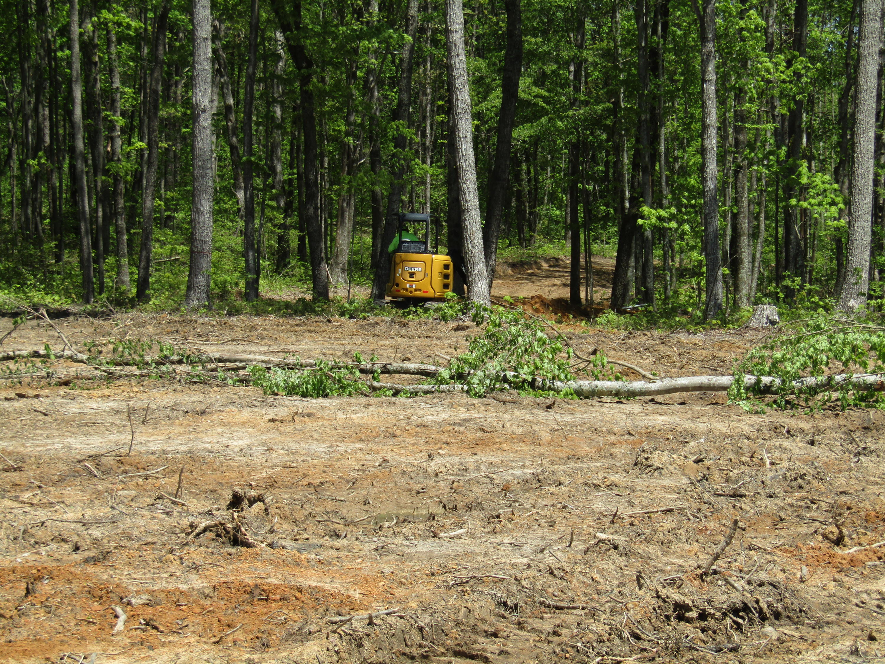 910 Milo Webb Road Crossville, TN 38572 - Photo 17 of 23 Wooded