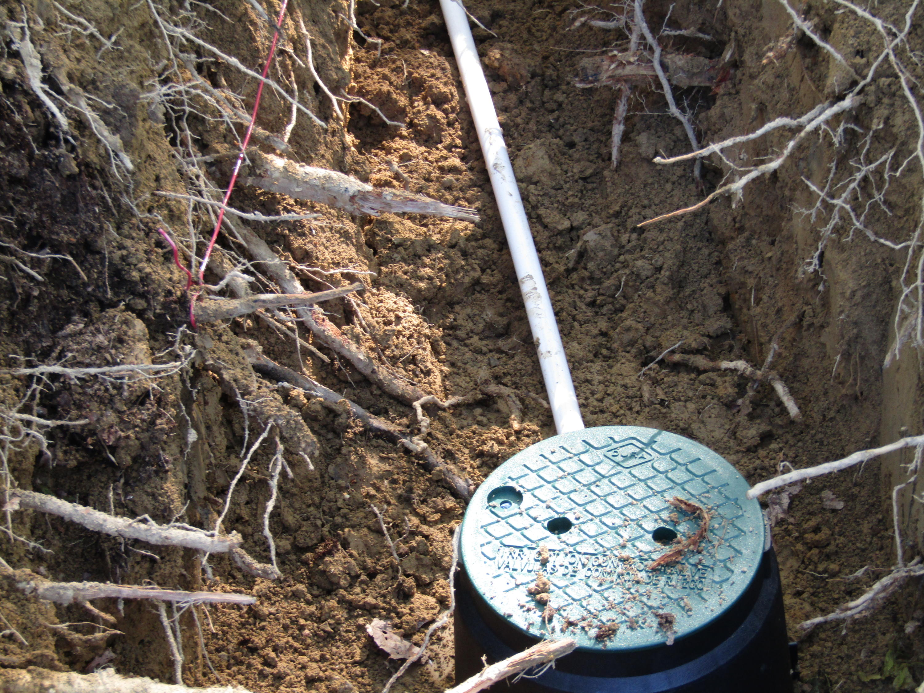 910 Milo Webb Road Crossville, TN 38572 - Photo 21 of 23 Water Line