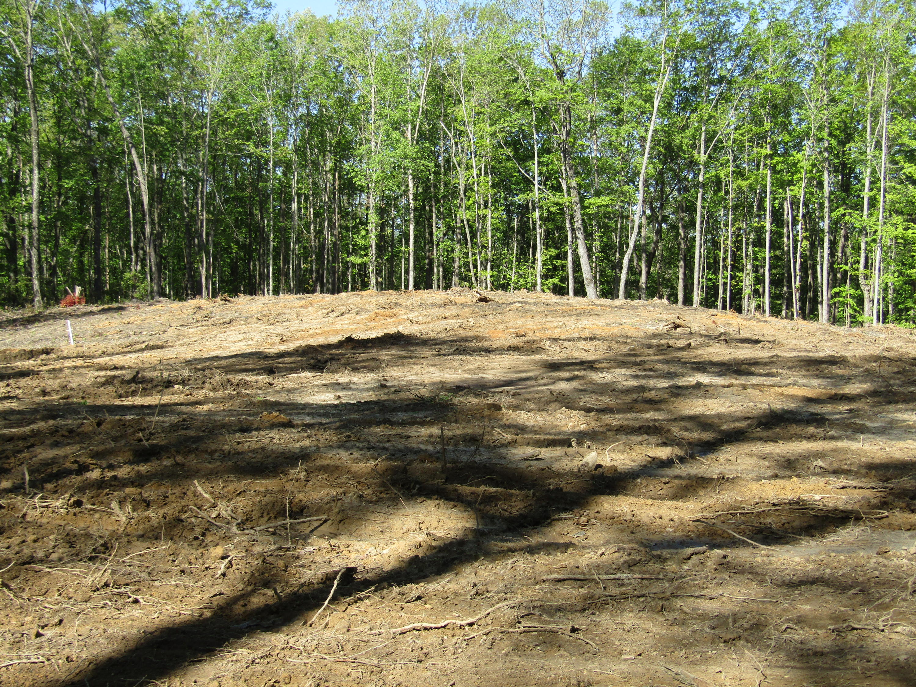 910 Milo Webb Road Crossville, TN 38572 - Photo 23 of 23 Building Site