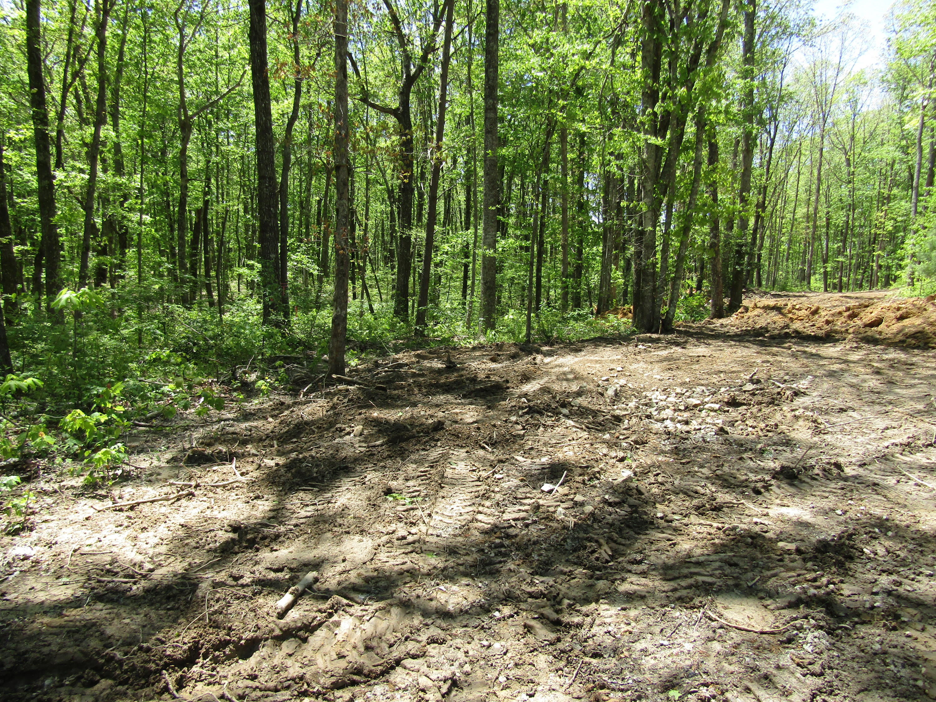 910 Milo Webb Road Crossville, TN 38572 - Photo 5 of 23 Driveway before Gravel