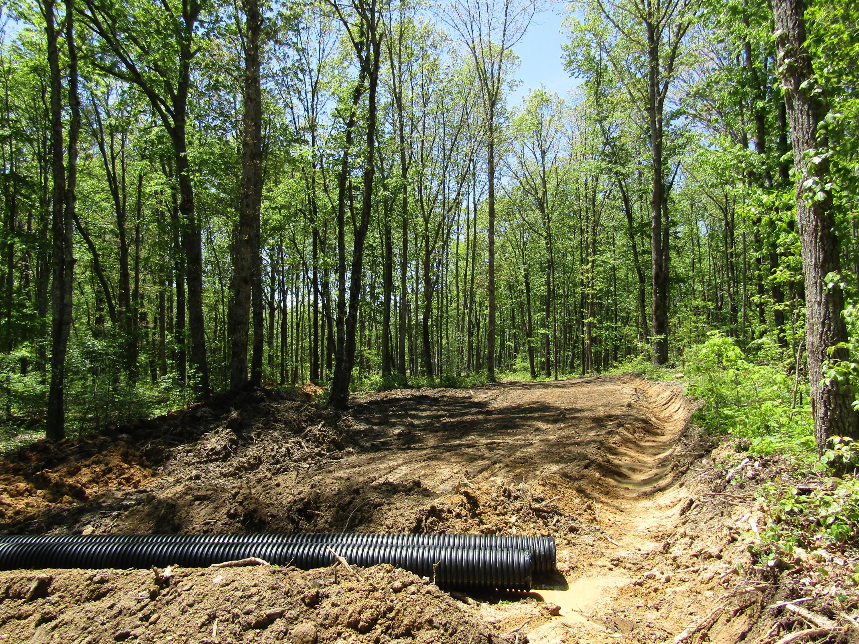 910 Milo Webb Road Crossville, TN 38572 - Photo 6 of 23 Drainage on Driveway