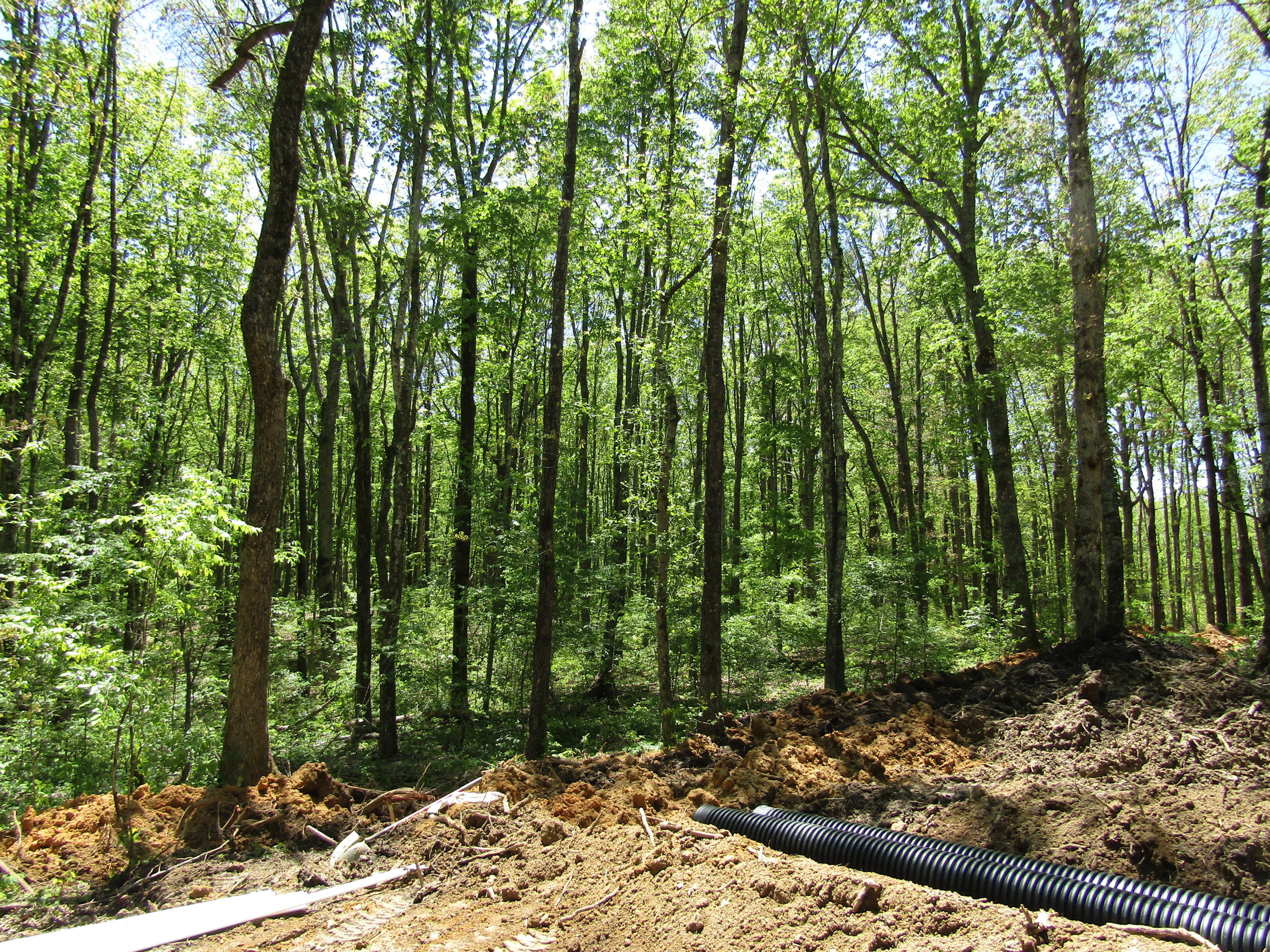 910 Milo Webb Road Crossville, TN 38572 - Photo 7 of 23 Drainage