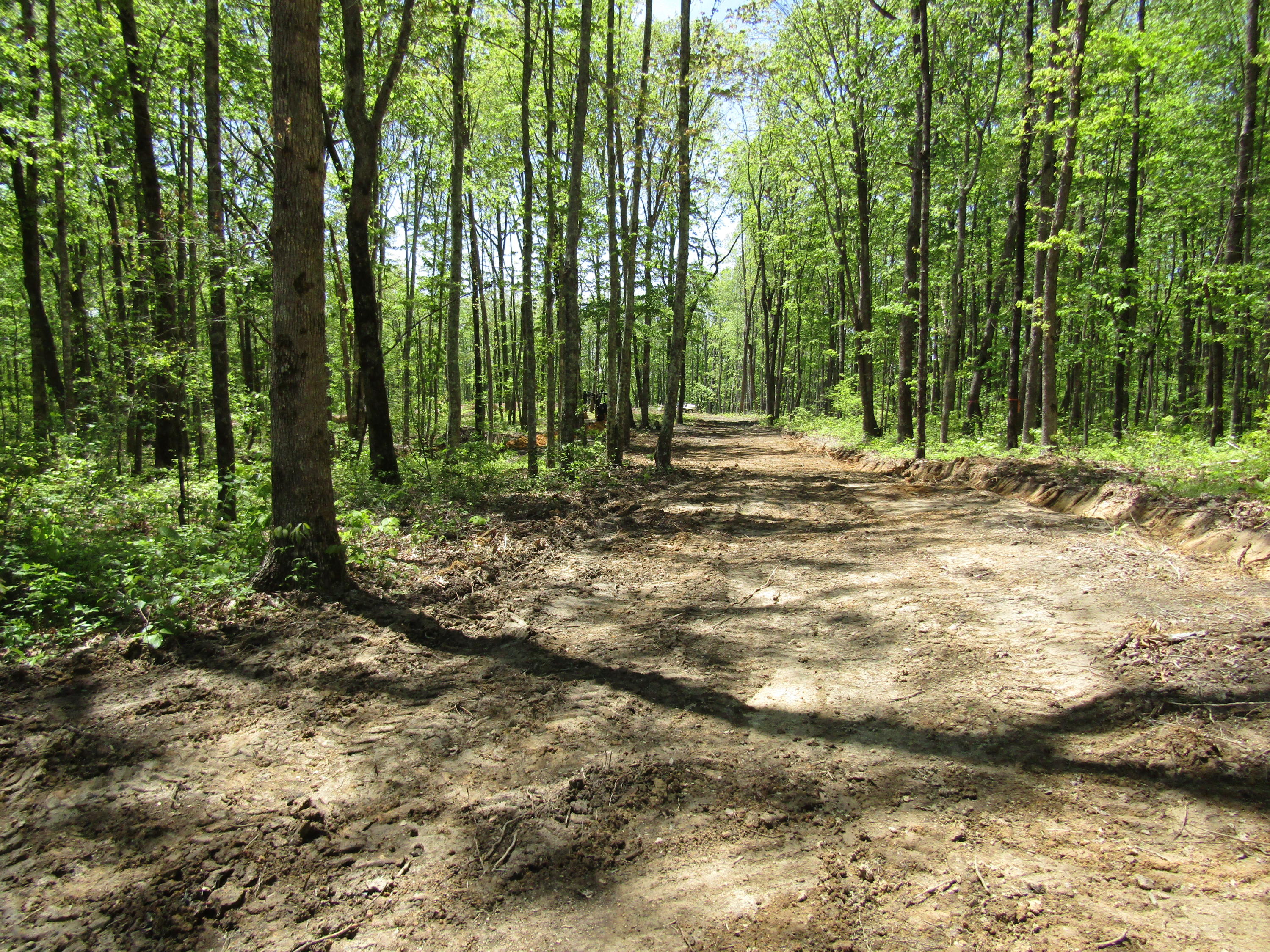 910 Milo Webb Road Crossville, TN 38572 - Photo 8 of 23 Driveway before Gravel