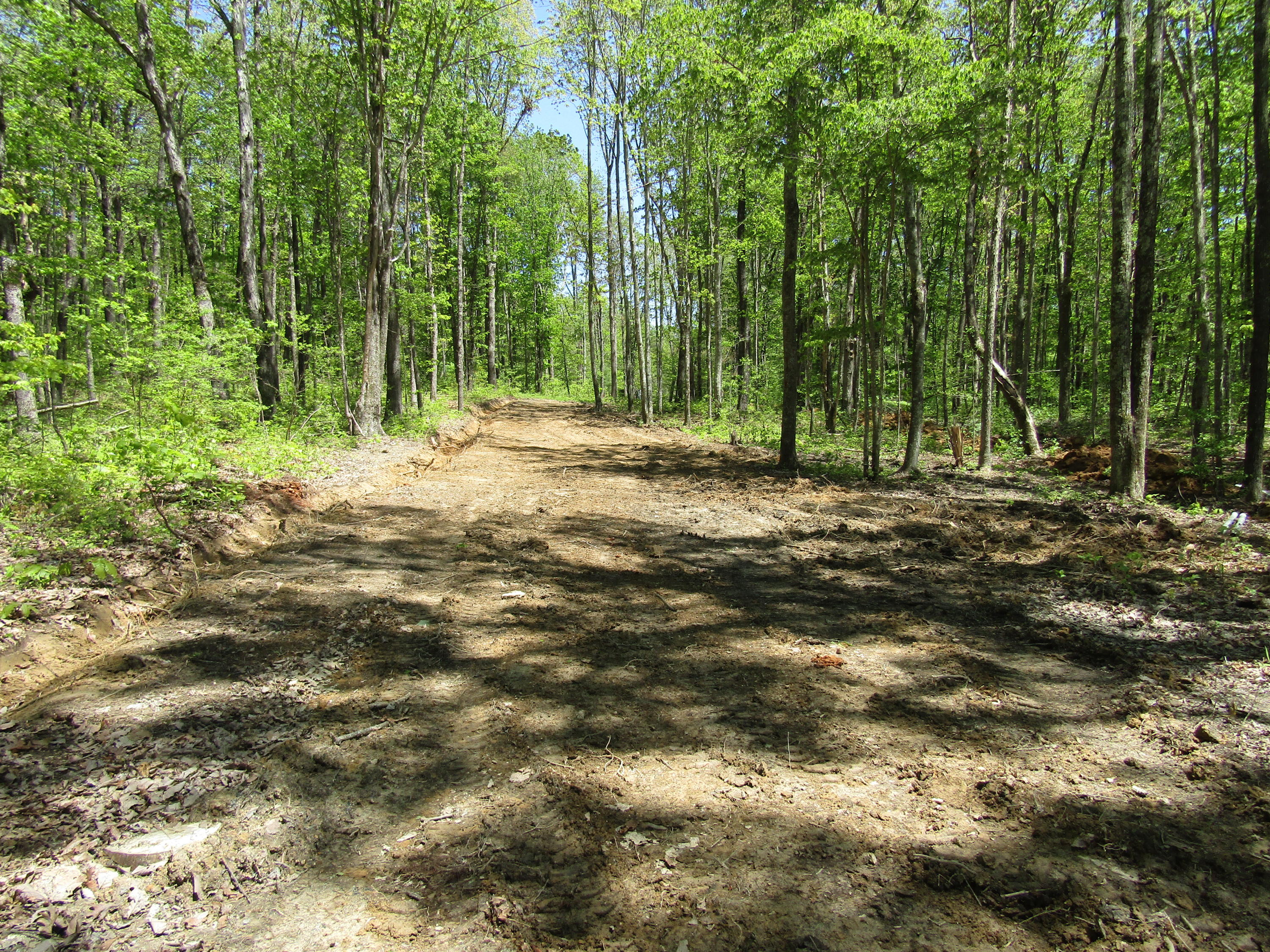 910 Milo Webb Road Crossville, TN 38572 - Photo 9 of 23 Cleared Driveway