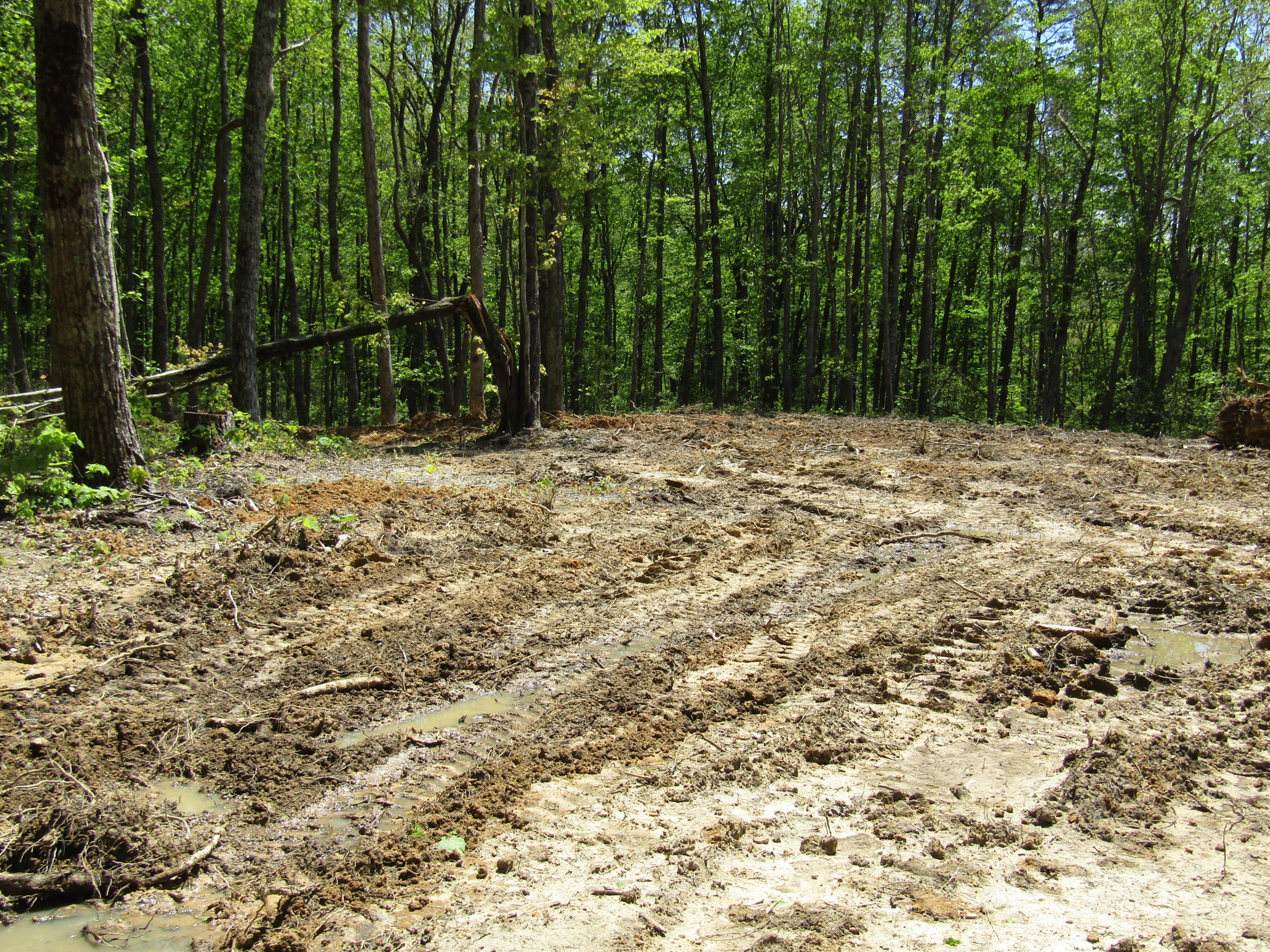 910 Milo Webb Road Crossville, TN 38572 - Photo 10 of 23 Building Site
