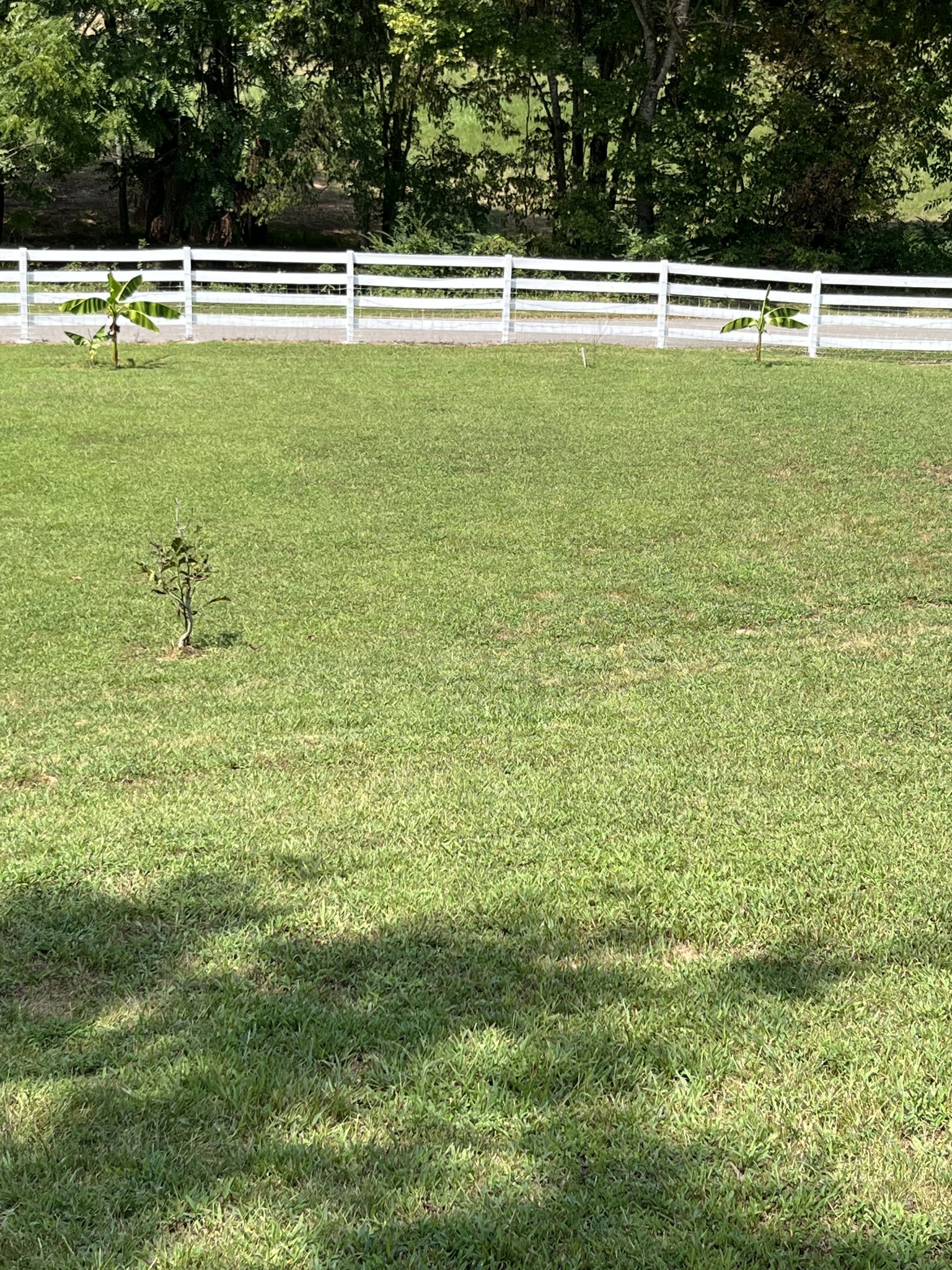 255 St Mary's Road Buffalo Valley, TN 38548 - Photo 34 of 36