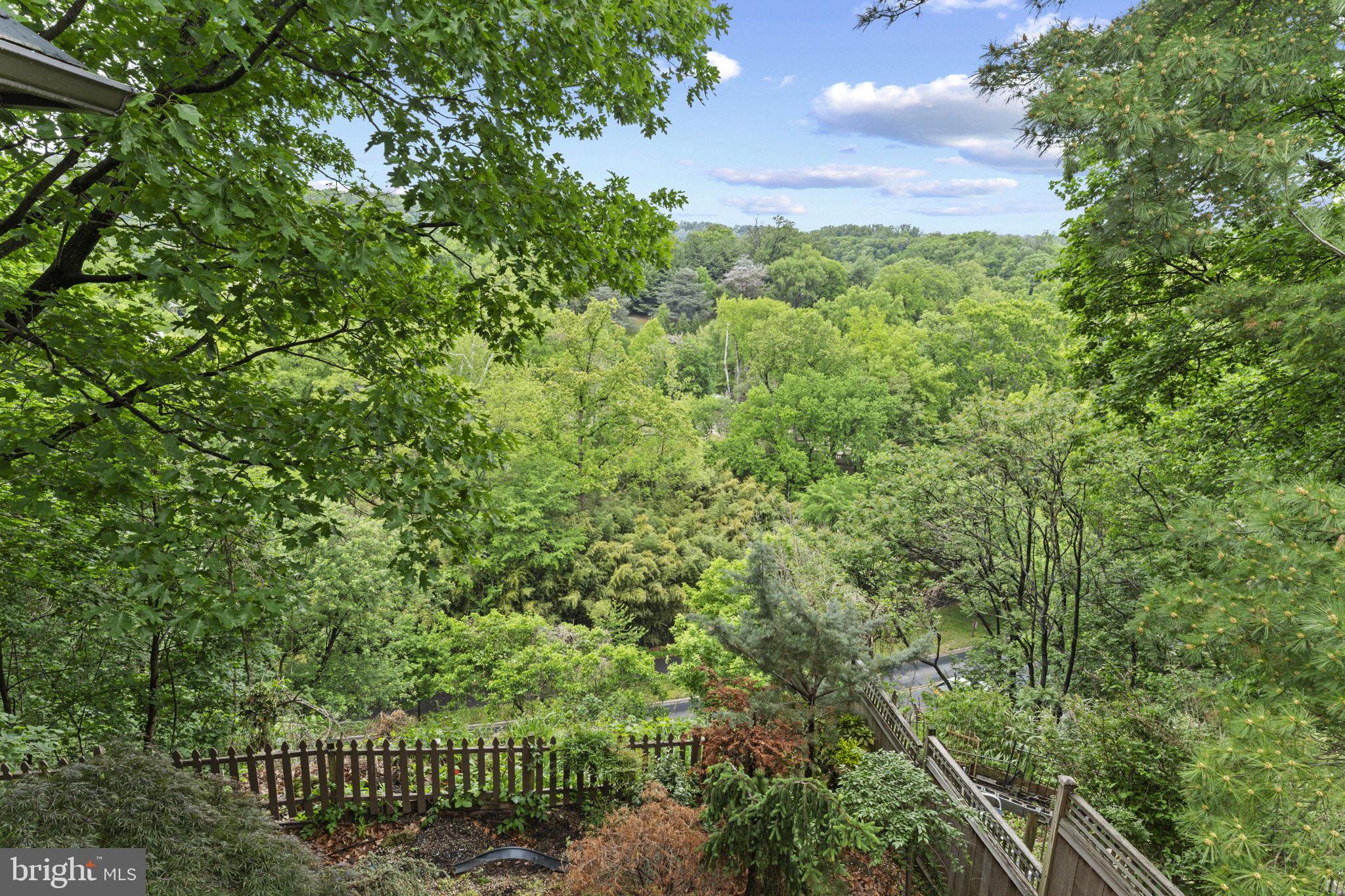 2812 Adams Mill Road Northwest Washington, DC 20009 - Photo 3 of 45 View of Rock Creek Park & Zoo