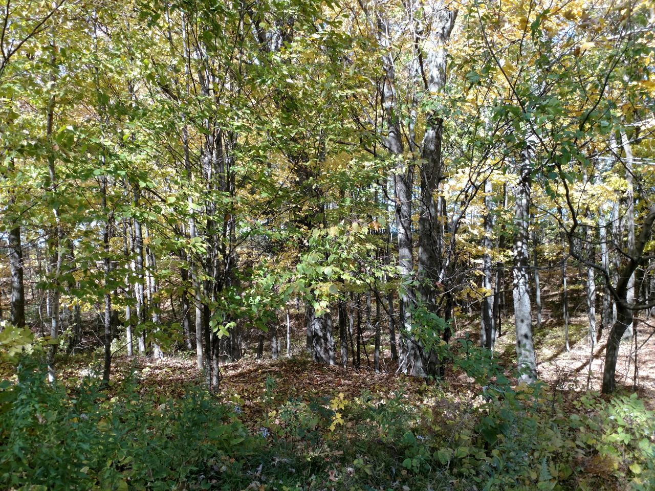 W3598 Nyberg-Hill Road Prentice, WI 54556 - Photo 2 of 24 Gallery Image 2