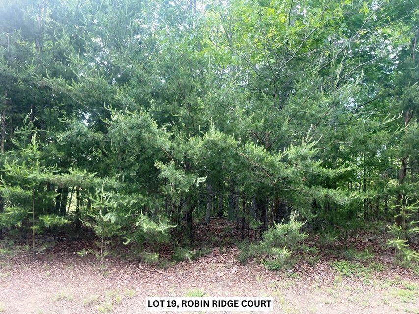 Lot 19 Robin Ridge Court Pittsville, VA 24139 - Photo 2 of 12 2-20240510152238901211000000-o
