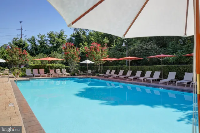 a view of a swimming pool with a table and chairs under an umbrella