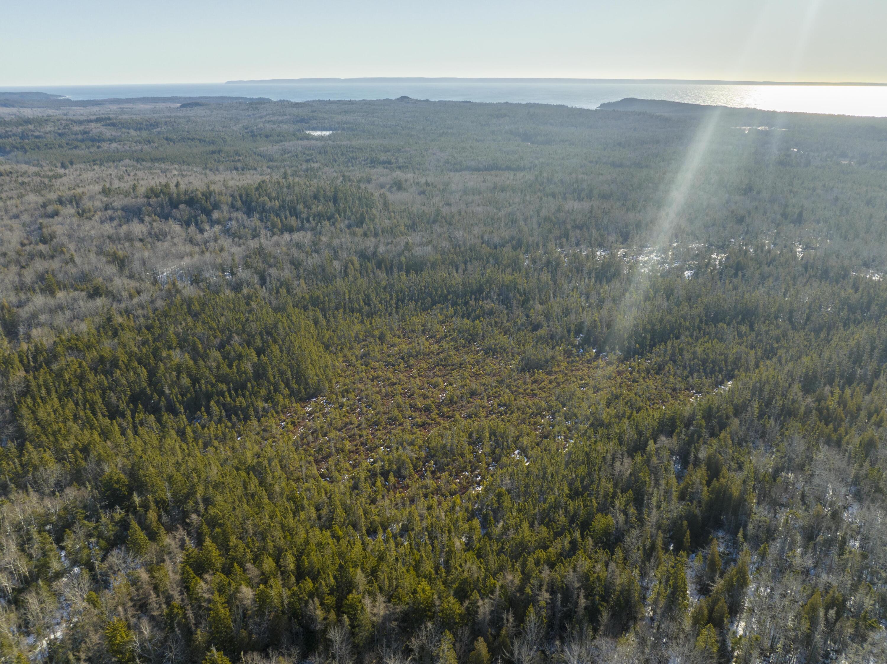 220 Dixie Road Lubec, ME 04652 - Photo 11 of 40 220 Dixie Rd. Lubec Maine (5 of 30)
