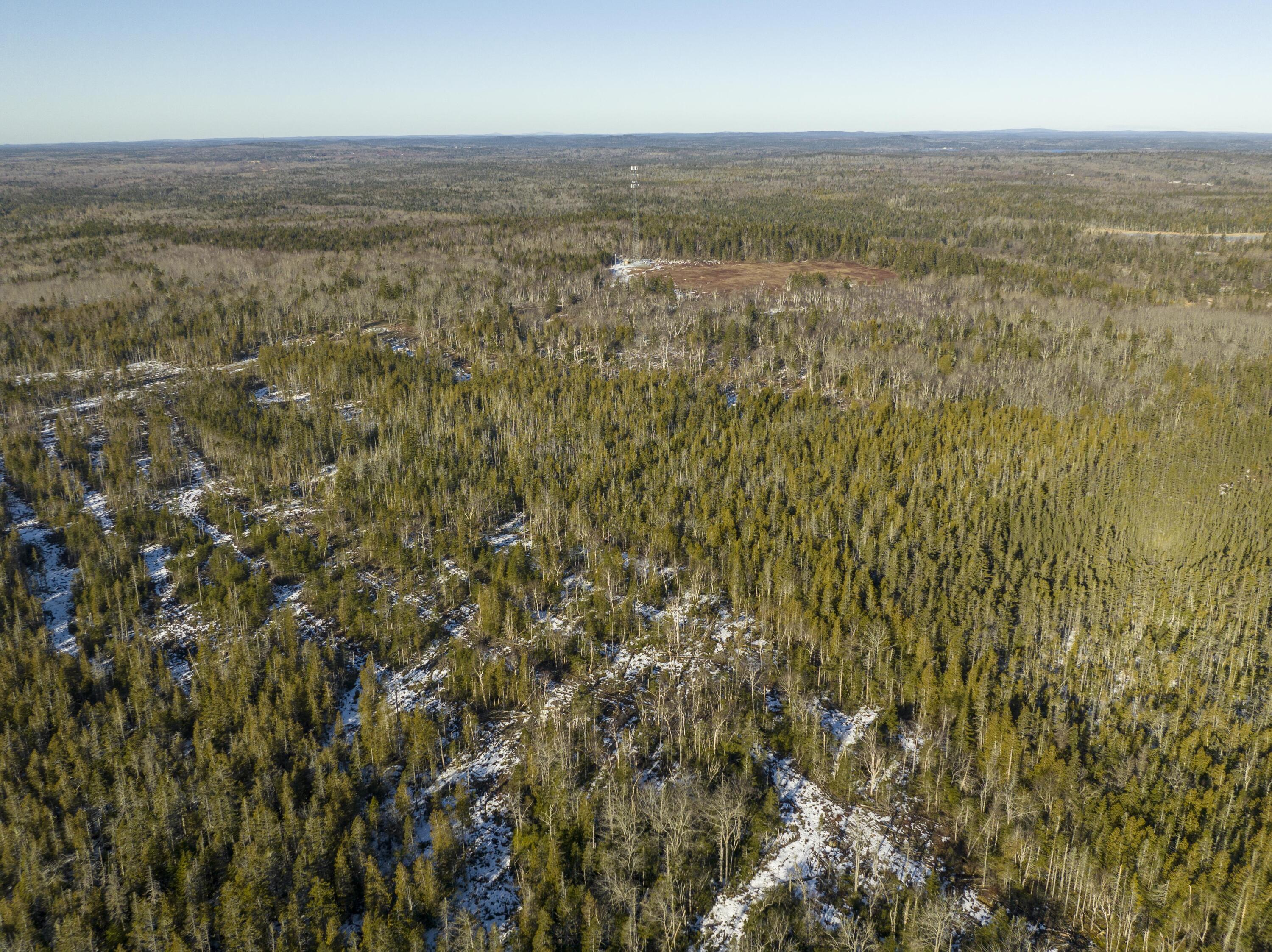 220 Dixie Road Lubec, ME 04652 - Photo 13 of 40 220 Dixie Rd. Lubec Maine (8 of 30)