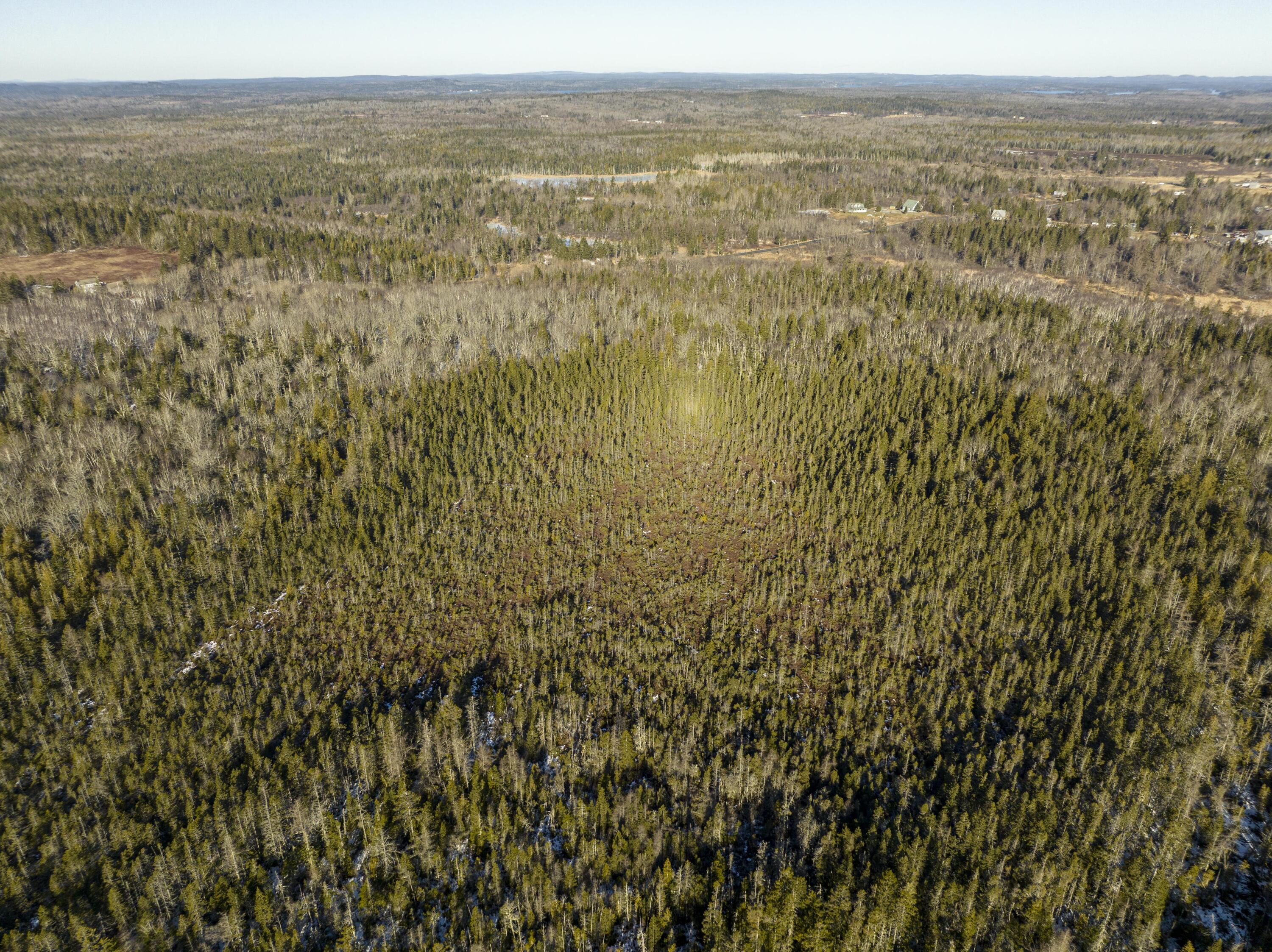 220 Dixie Road Lubec, ME 04652 - Photo 14 of 40 220 Dixie Rd. Lubec Maine (7 of 30)