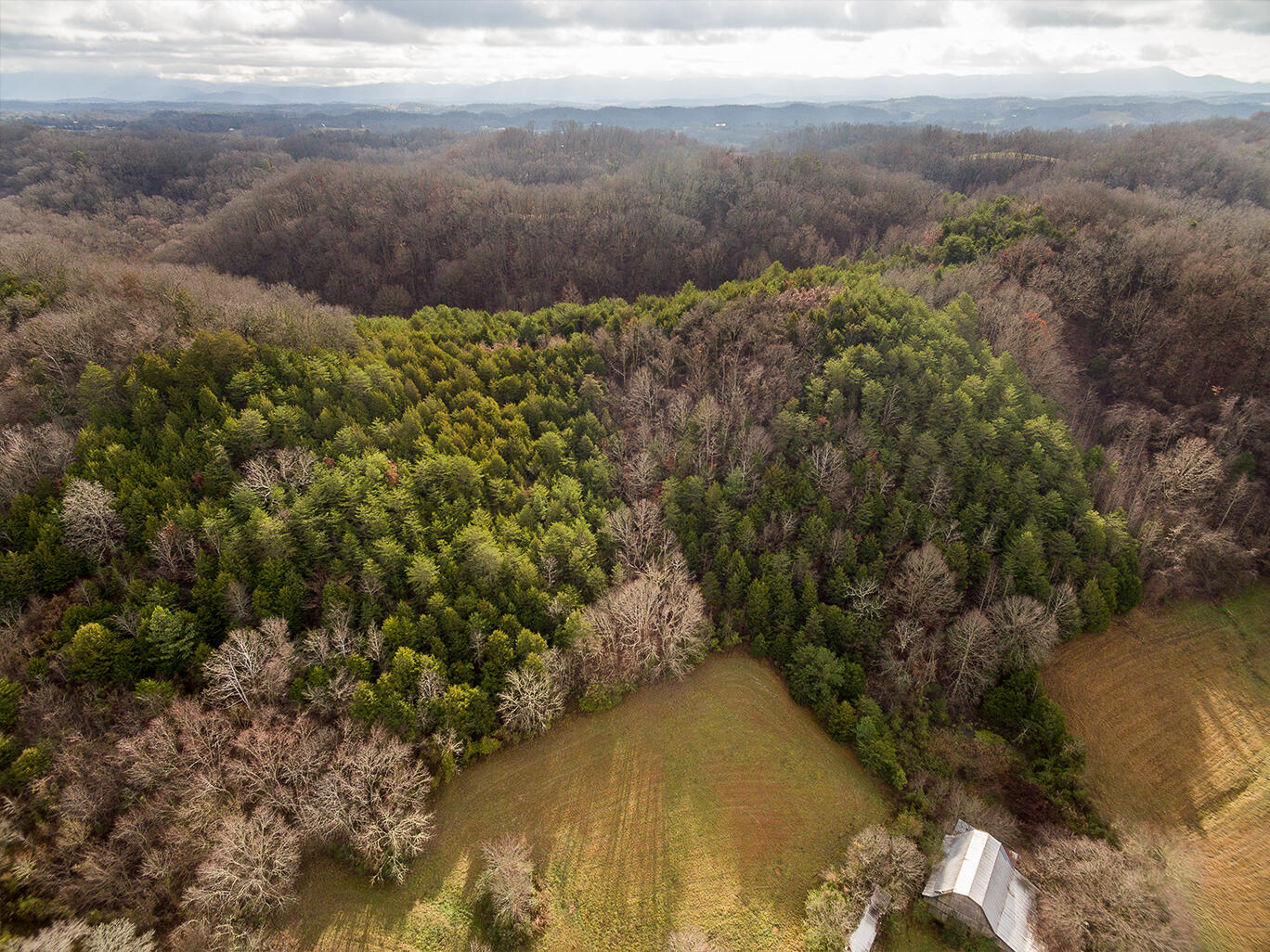 Tbd Warrensburg Road Mosheim, TN 37818 - Photo 4 of 27 Aerial