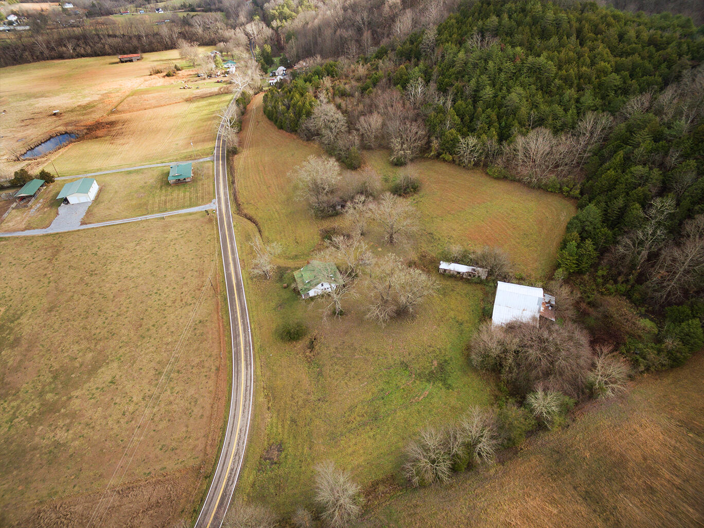 Tbd Warrensburg Road Mosheim, TN 37818 - Photo 5 of 27 Aerial