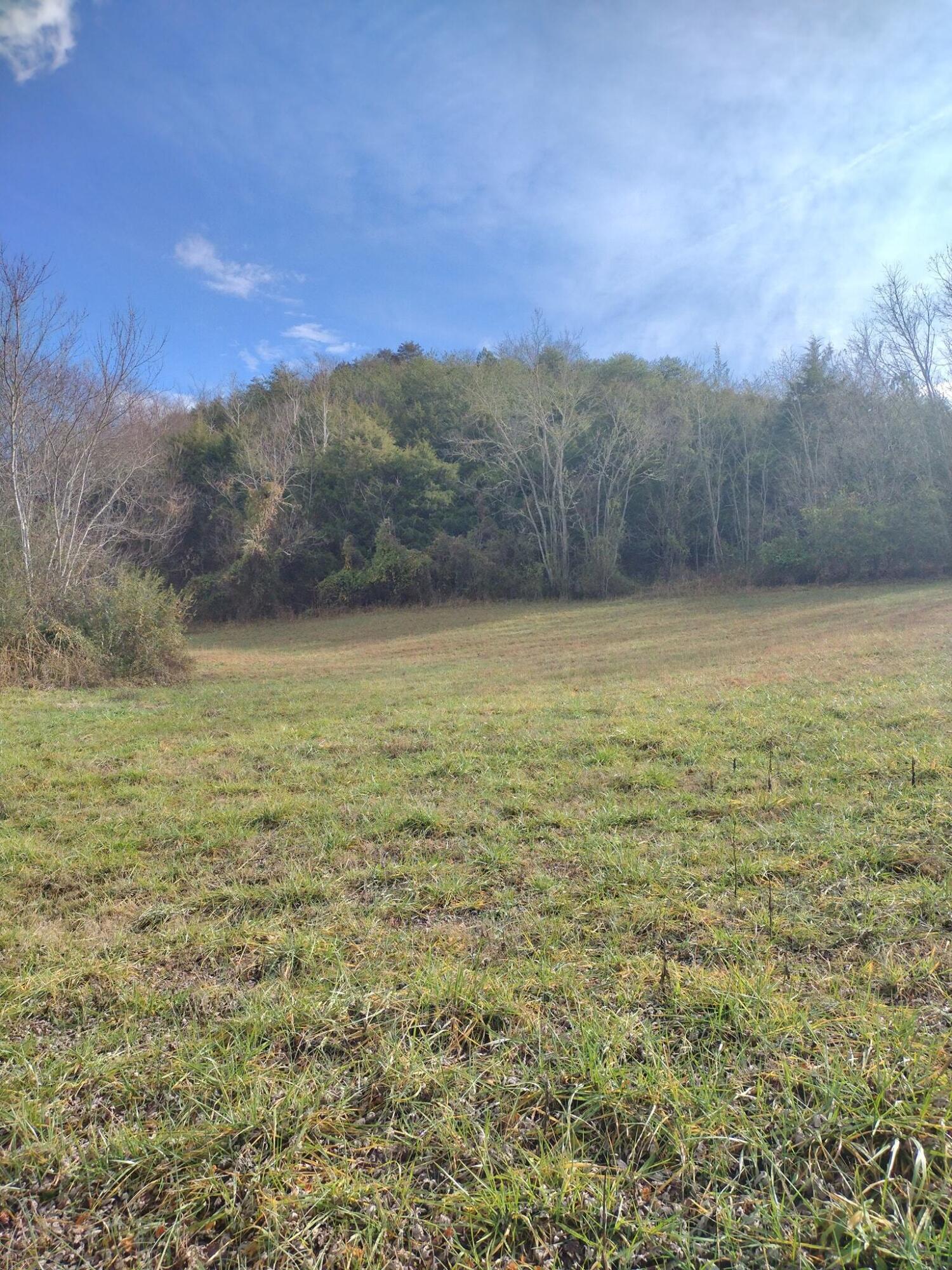 Tbd Warrensburg Road Mosheim, TN 37818 - Photo 8 of 27 Property View 5