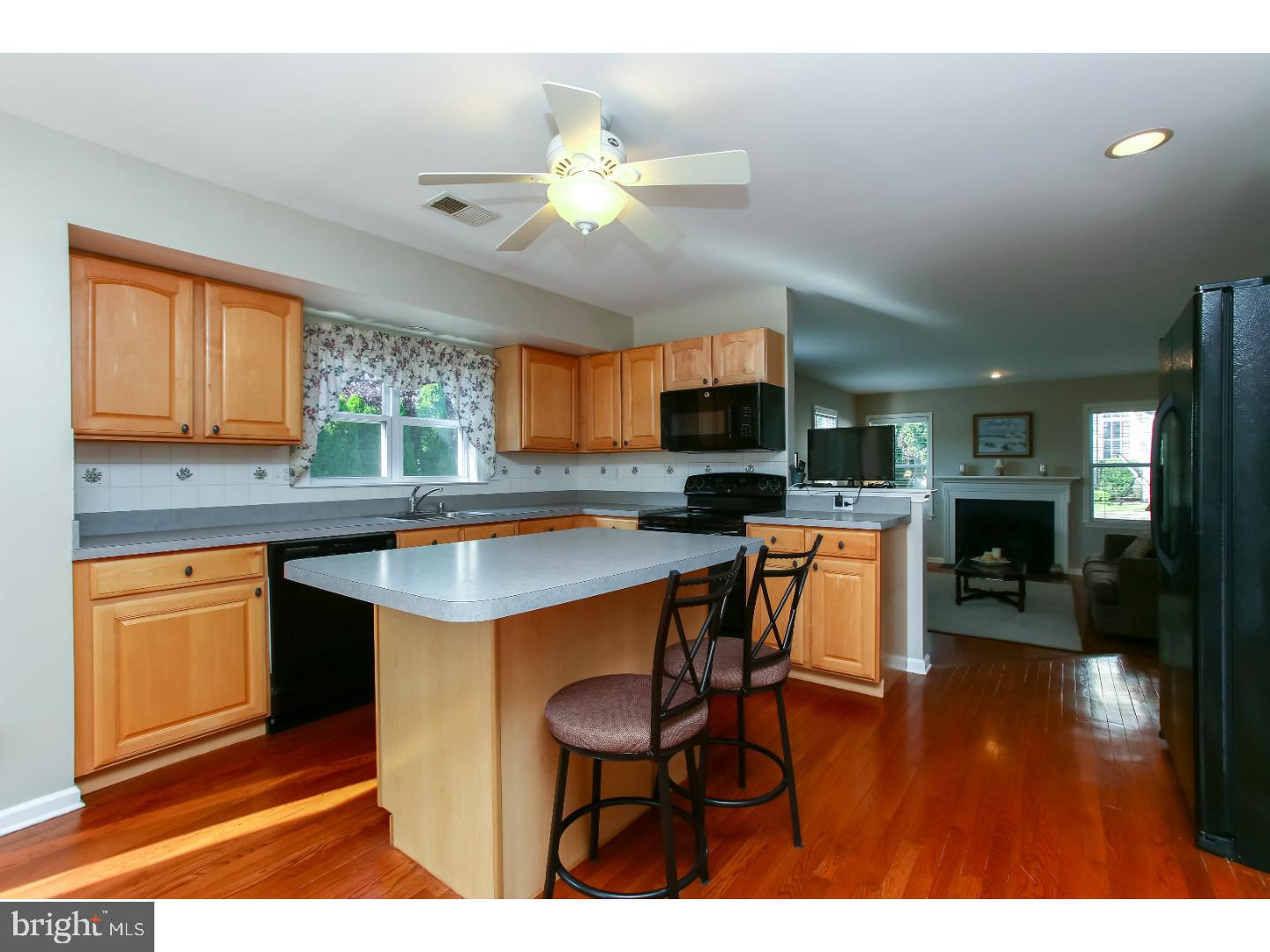 723 Scott Lane Wallingford, PA 19086 - Photo 7 of 25 Gallery Image 7