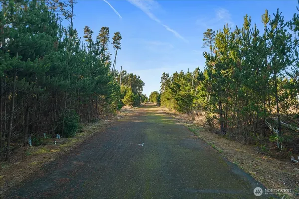 a view of a field with trees in background