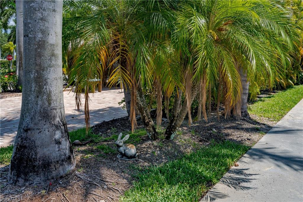 13430 Ladyfish Lane Naples, FL 34114 - Photo 1 of 31