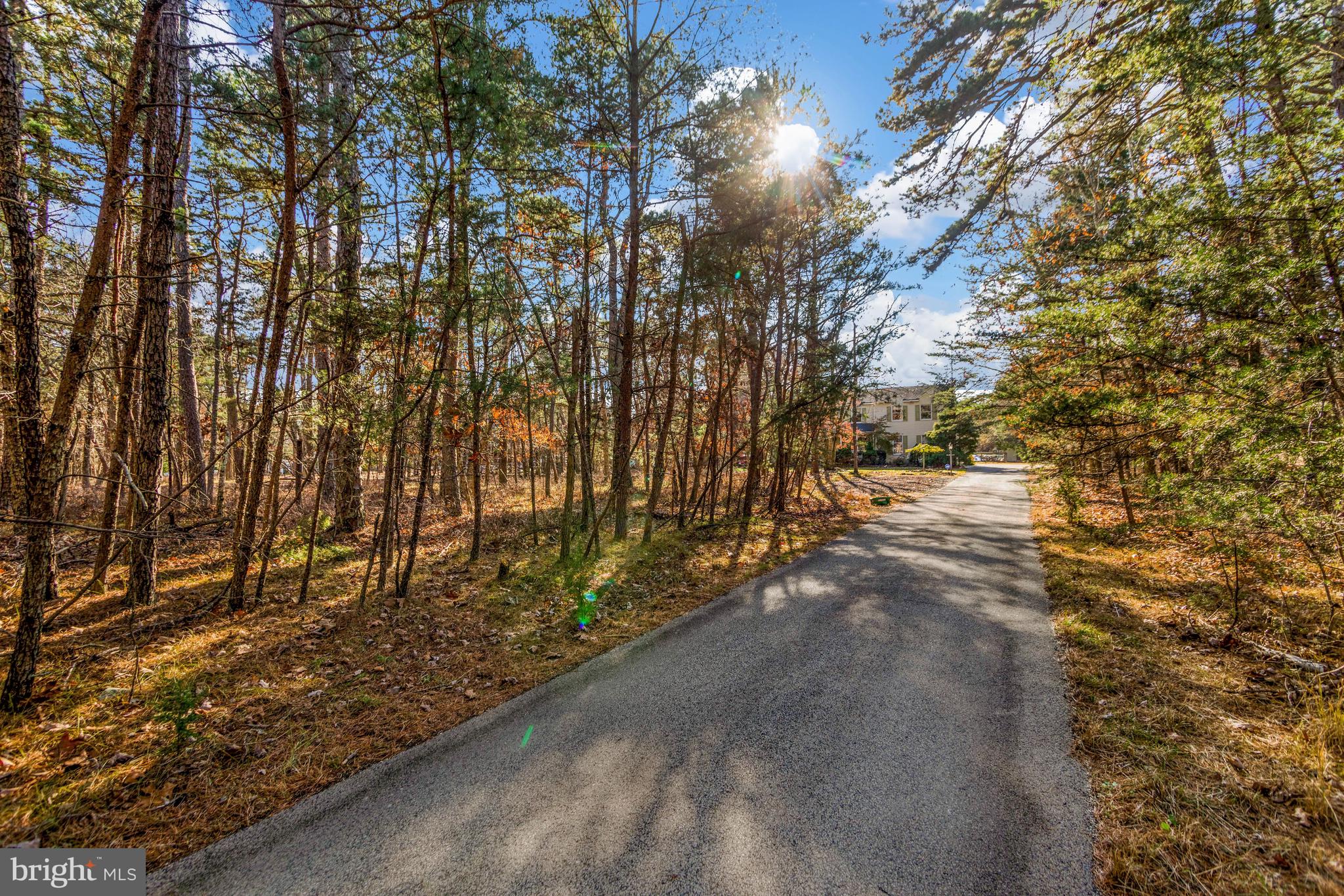 151 Patty Bowker Road Tabernacle, NJ 08088 - Photo 2 of 52 a view of forest