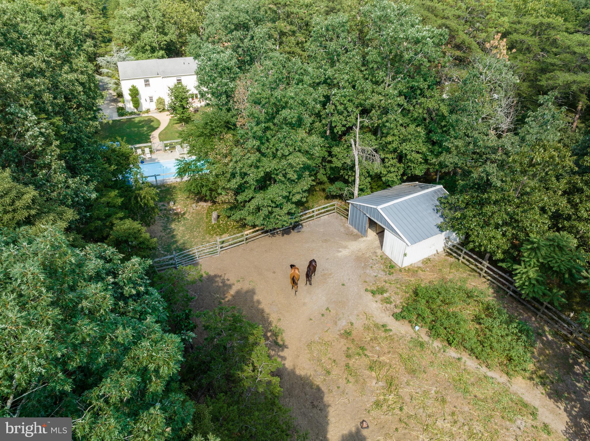 151 Patty Bowker Road Tabernacle, NJ 08088 - Photo 52 of 52 a view of a house with a yard and trees