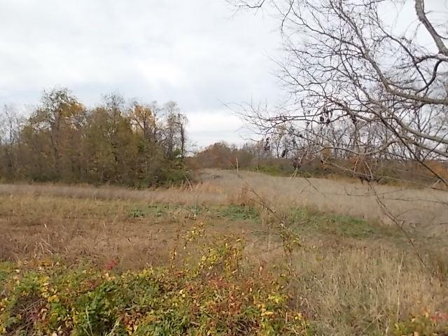 242 Dutch Ridge Road Augusta, KY 41002 - Photo 7 of 11 Gallery Image 7