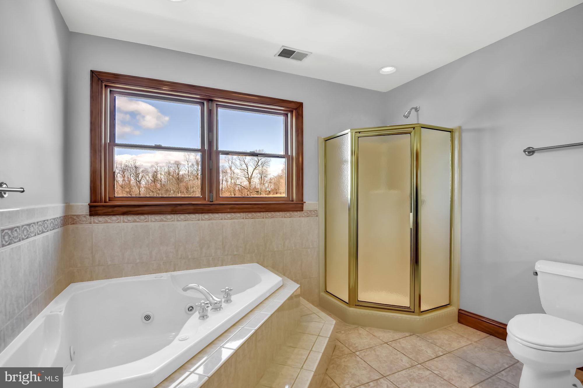 1436 Freeland Road Freeland, MD 21053 - Photo 25 of 49 Master Bath