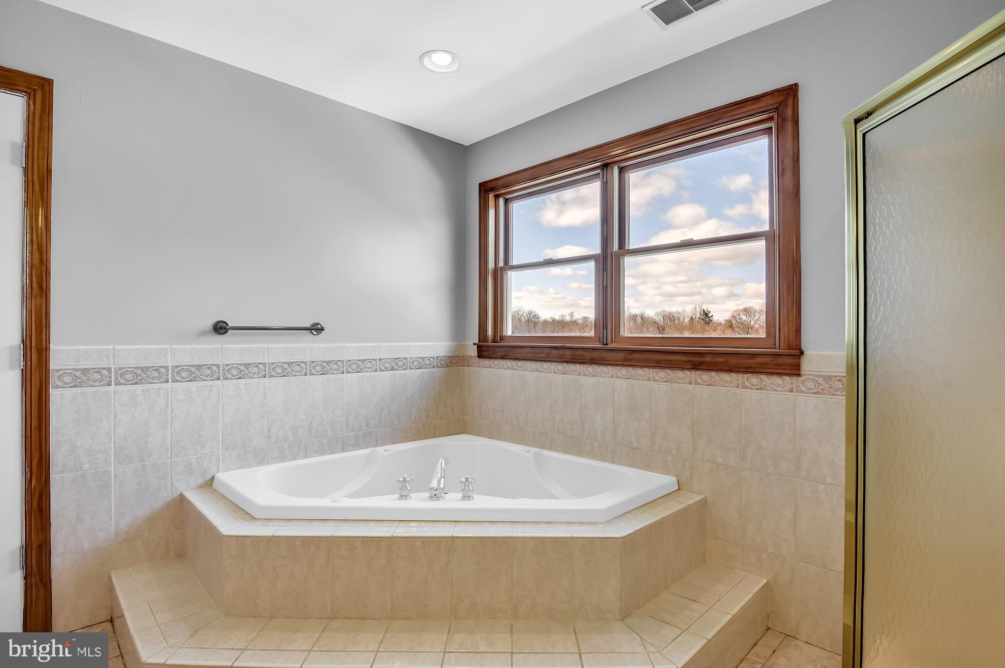 1436 Freeland Road Freeland, MD 21053 - Photo 26 of 49 Master Bath Tub