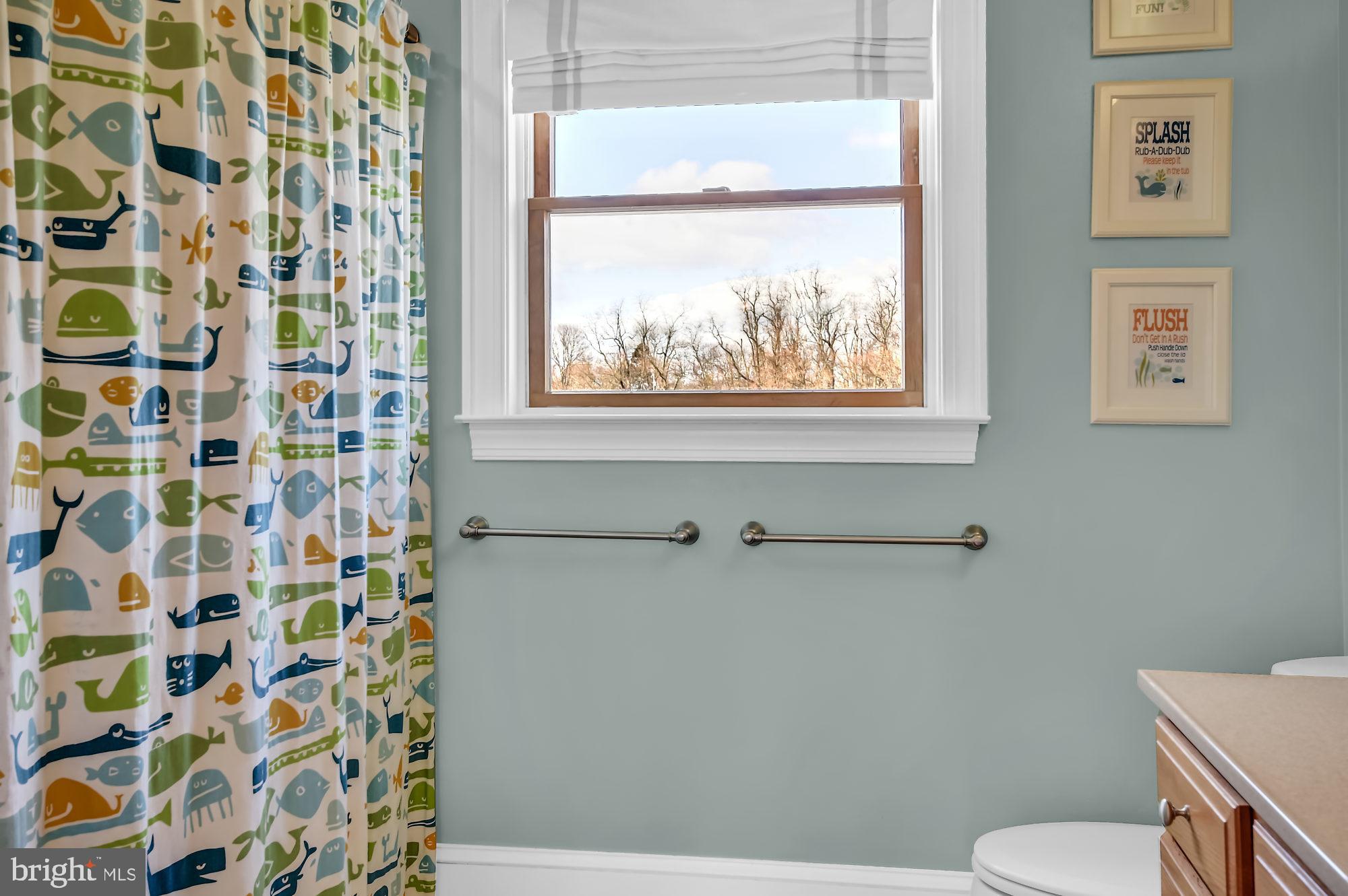 1436 Freeland Road Freeland, MD 21053 - Photo 32 of 49 Upstairs Bathroom