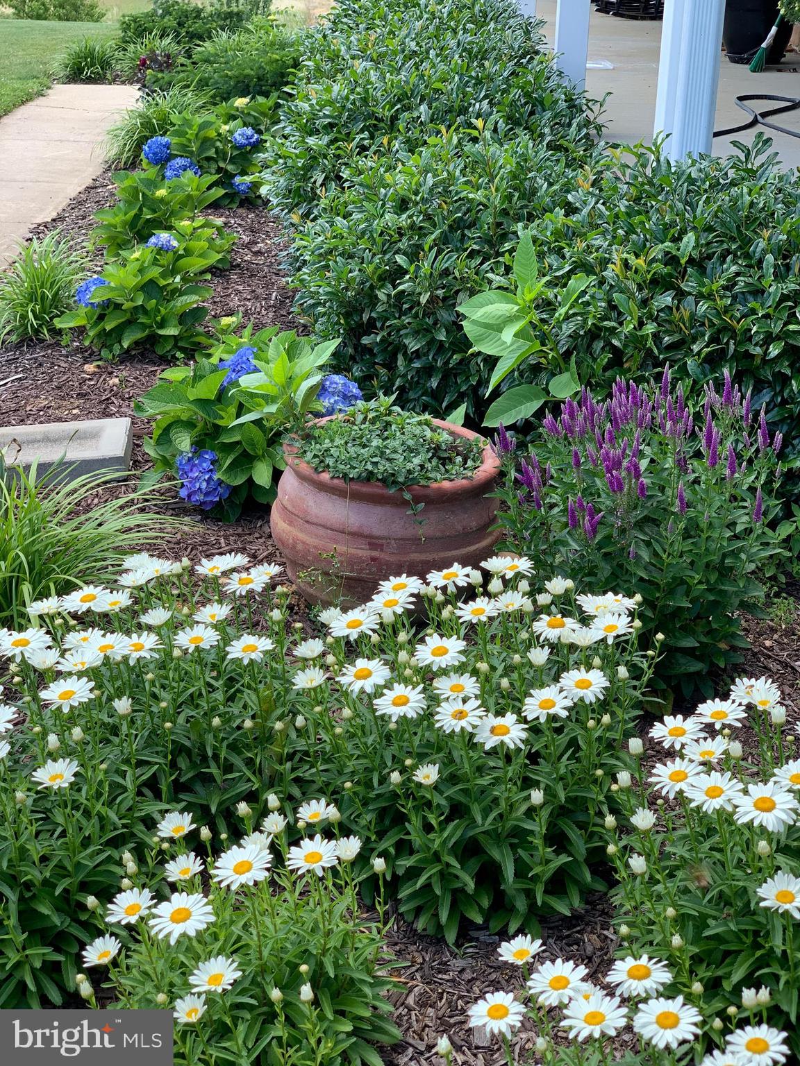 1436 Freeland Road Freeland, MD 21053 - Photo 38 of 49 Front Walkway Flowers
