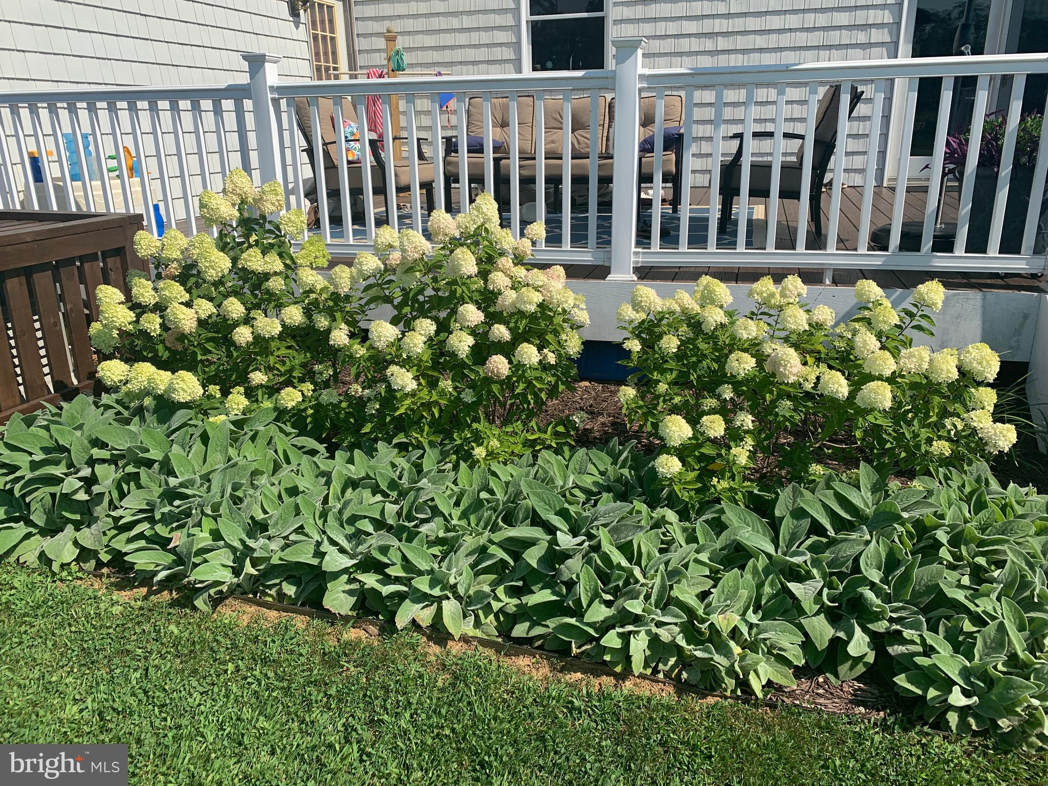 1436 Freeland Road Freeland, MD 21053 - Photo 44 of 49 Flowers at Deck