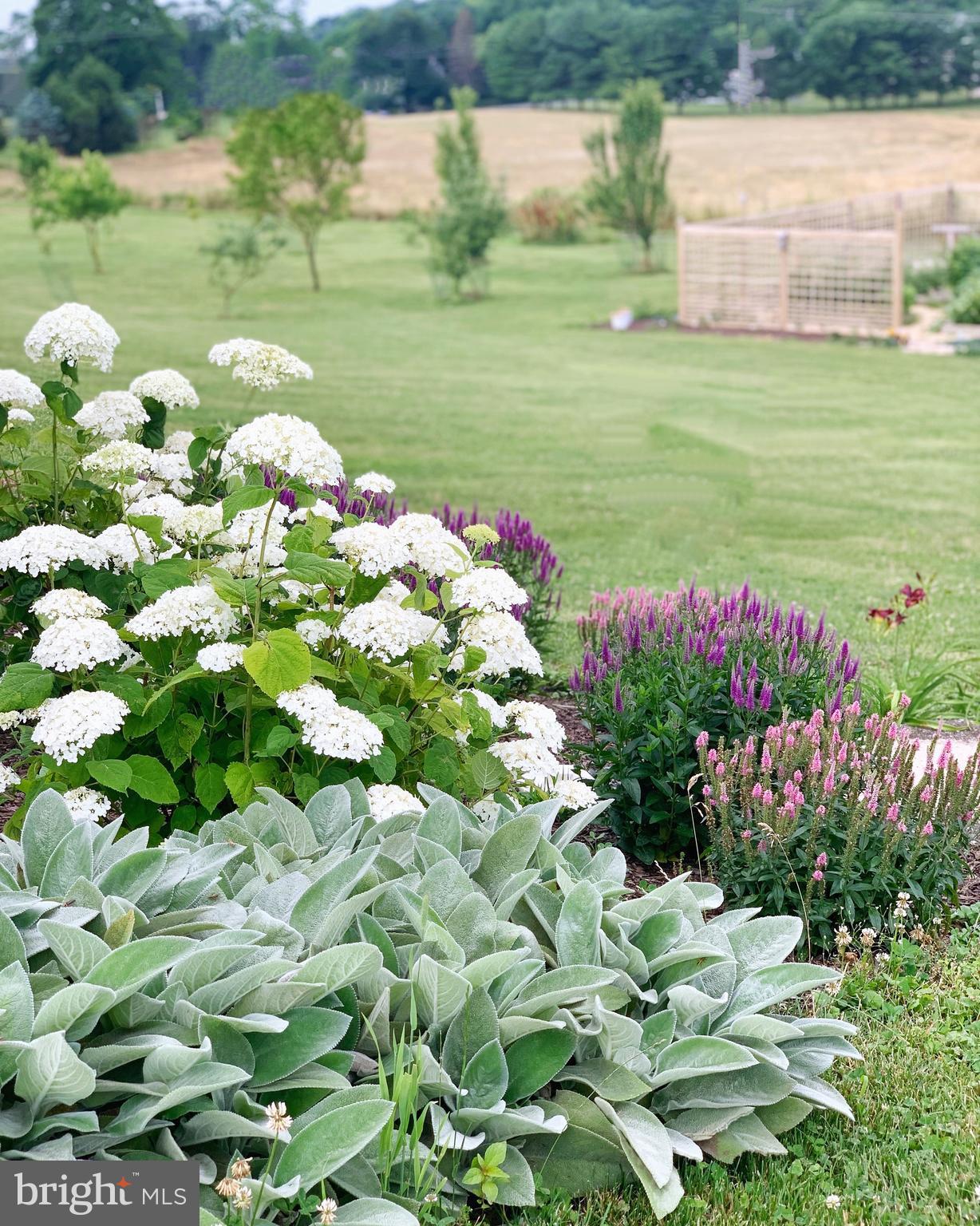 1436 Freeland Road Freeland, MD 21053 - Photo 49 of 49 Summer Flowers and Garden Area