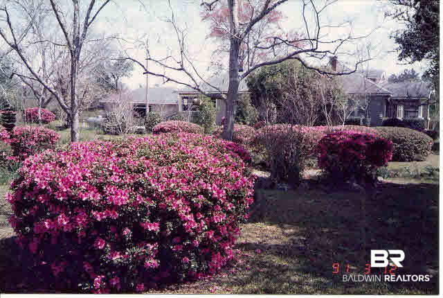 34205 West Barclay Avenue Lillian, AL 36549 - Photo 43 of 46 Side yard azaleas