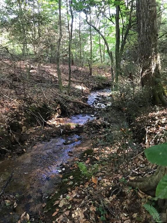 4919 Rocky Ridge Road Connelly Springs, NC 28612 - Photo 16 of 17 Gallery Image 16