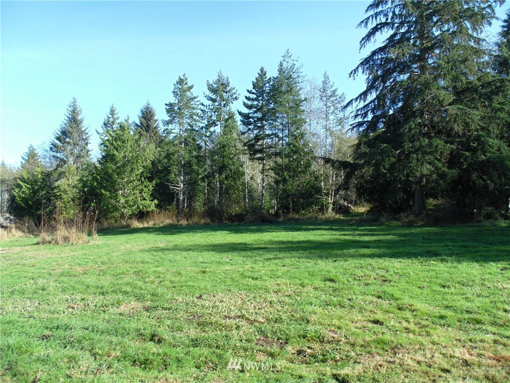 444 Farrington Road Port Angeles, WA 98363 - Photo 28 of 38 Gallery Image 28