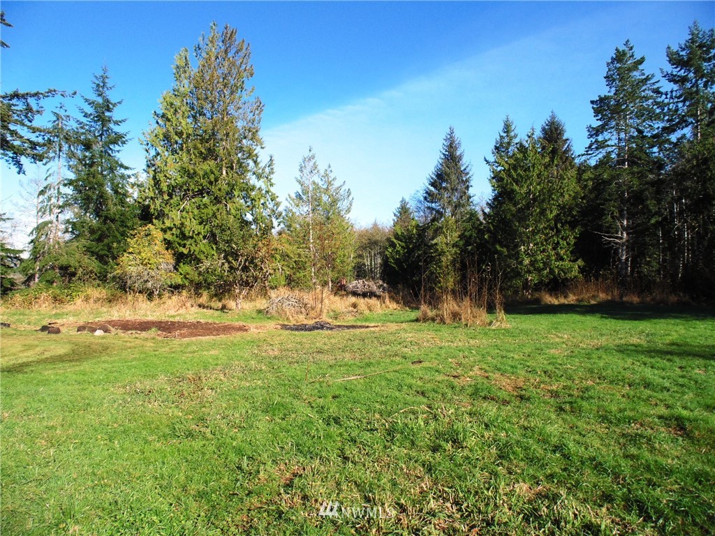 444 Farrington Road Port Angeles, WA 98363 - Photo 29 of 38 Gallery Image 29