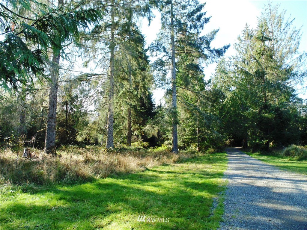 444 Farrington Road Port Angeles, WA 98363 - Photo 38 of 38 Gallery Image 38