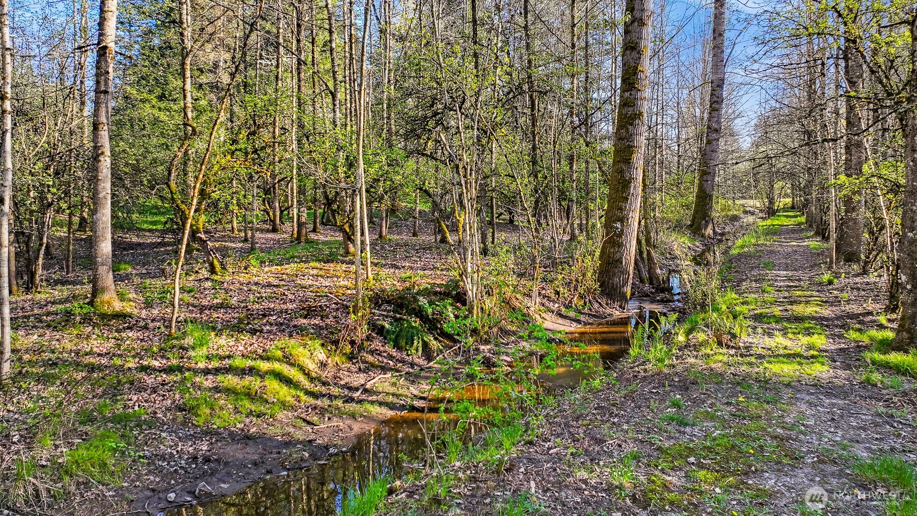 4930 Noon Road Bellingham, WA 98226 - Photo 21 of 27 a view of an outdoor space