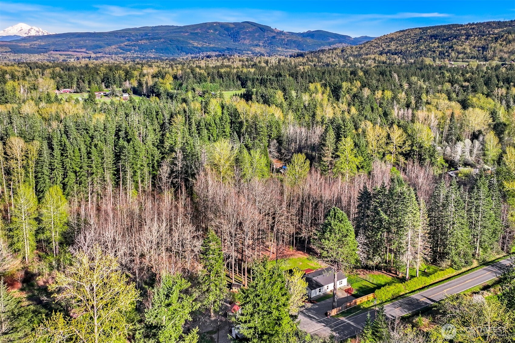 4930 Noon Road Bellingham, WA 98226 - Photo 5 of 27 a view of a forest with a lake