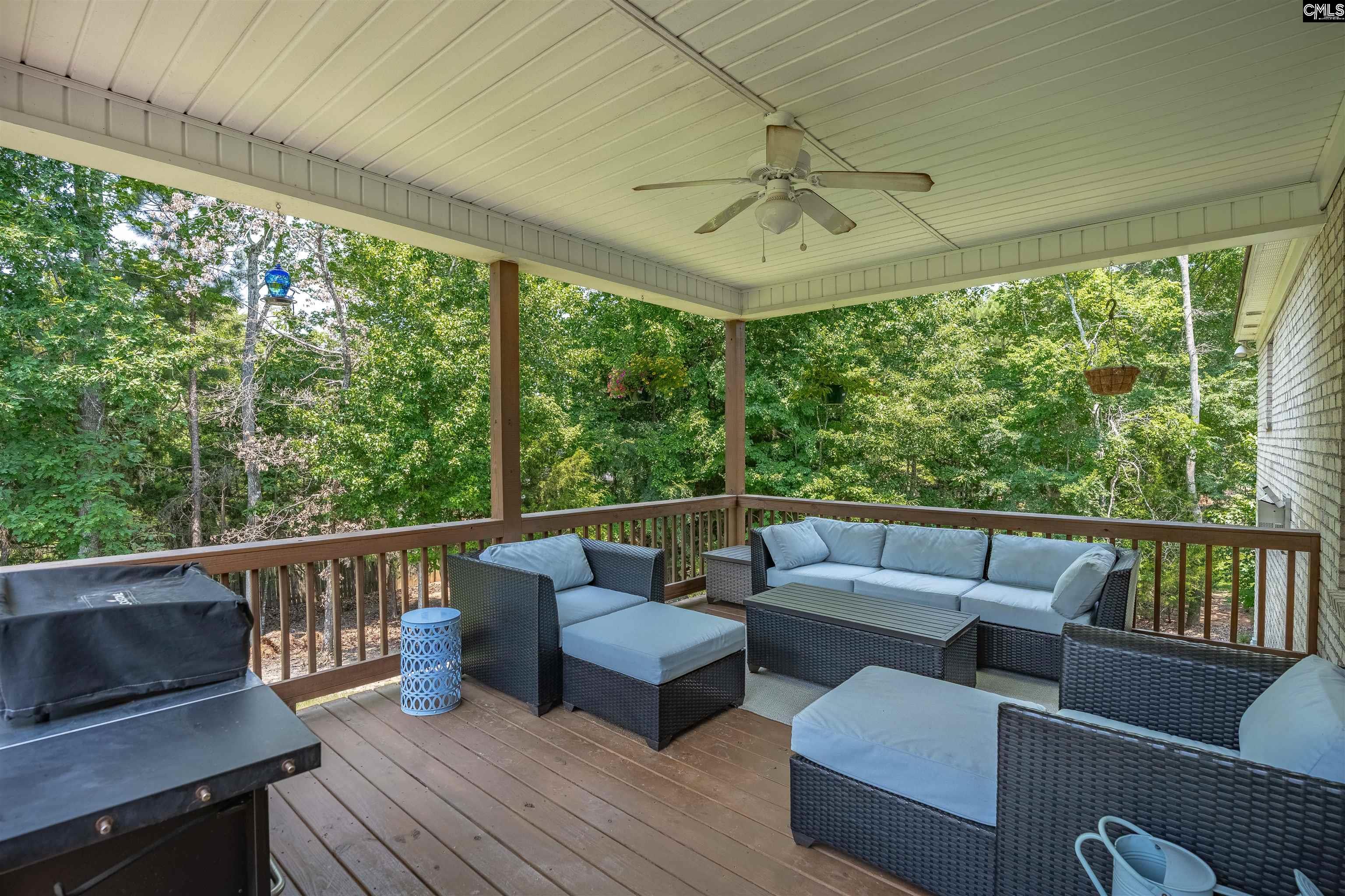 238 Hilton View Court Chapin, SC 29036 - Photo 38 of 63