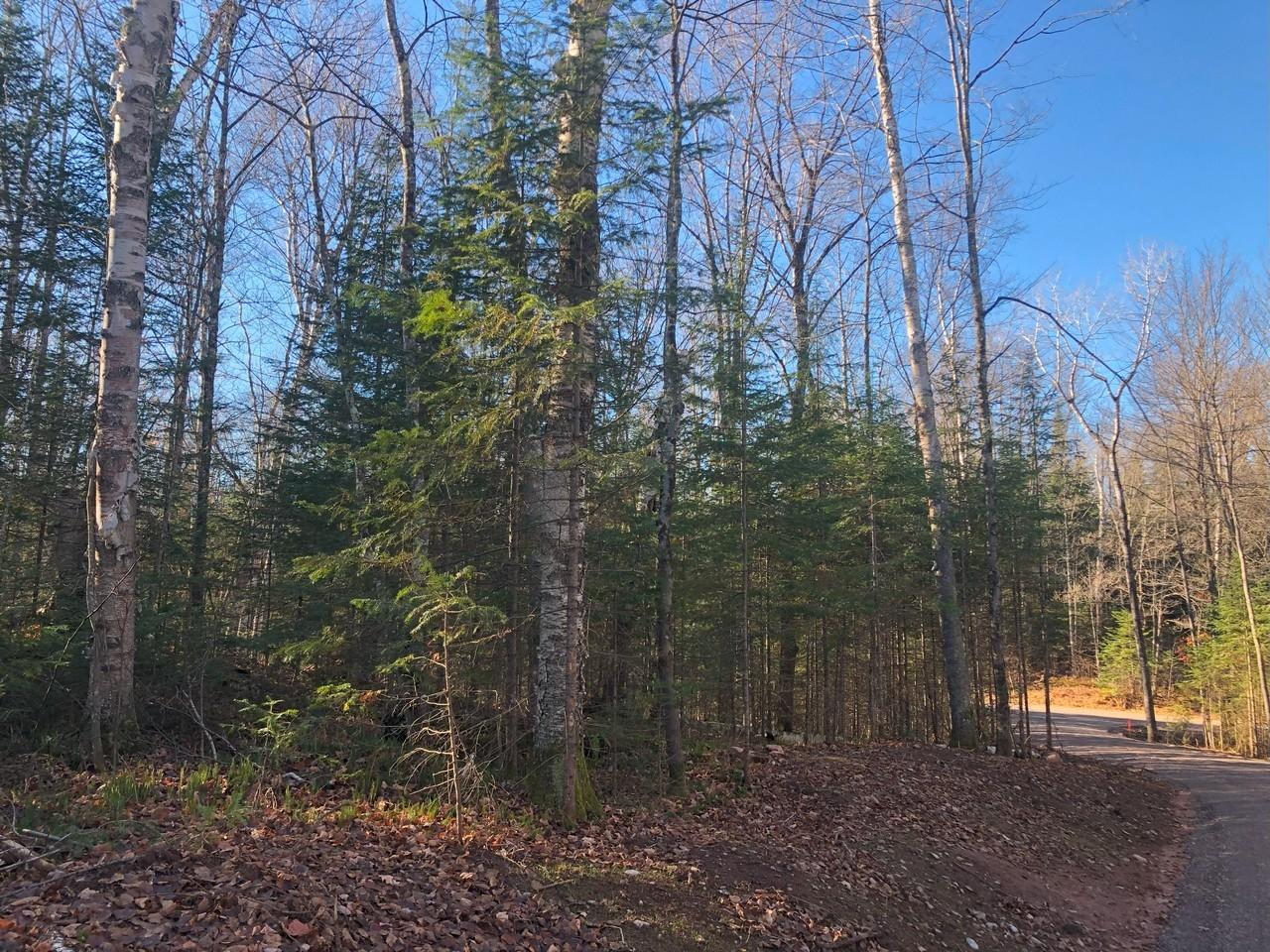 On East Bay Road, Unit LOT 3 Presque Isle, WI 54557 - Photo 2 of 22 Gallery Image 2