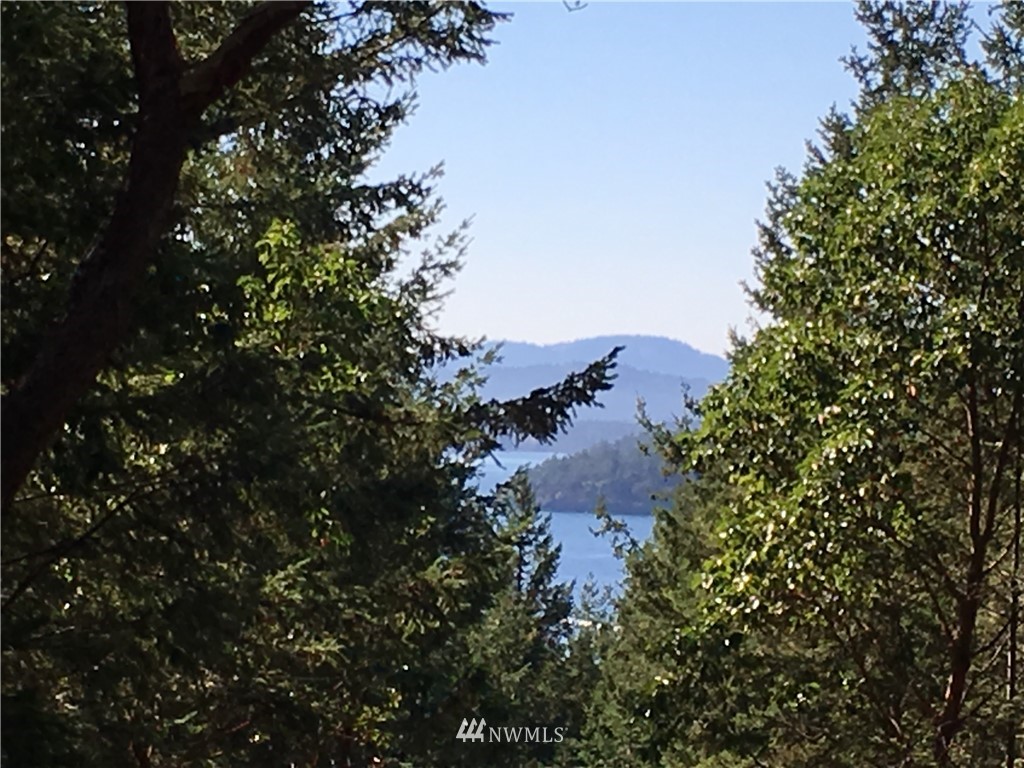 49 Exton Road Orcas Island, WA 98280 - Photo 1 of 9 Gallery Image 1