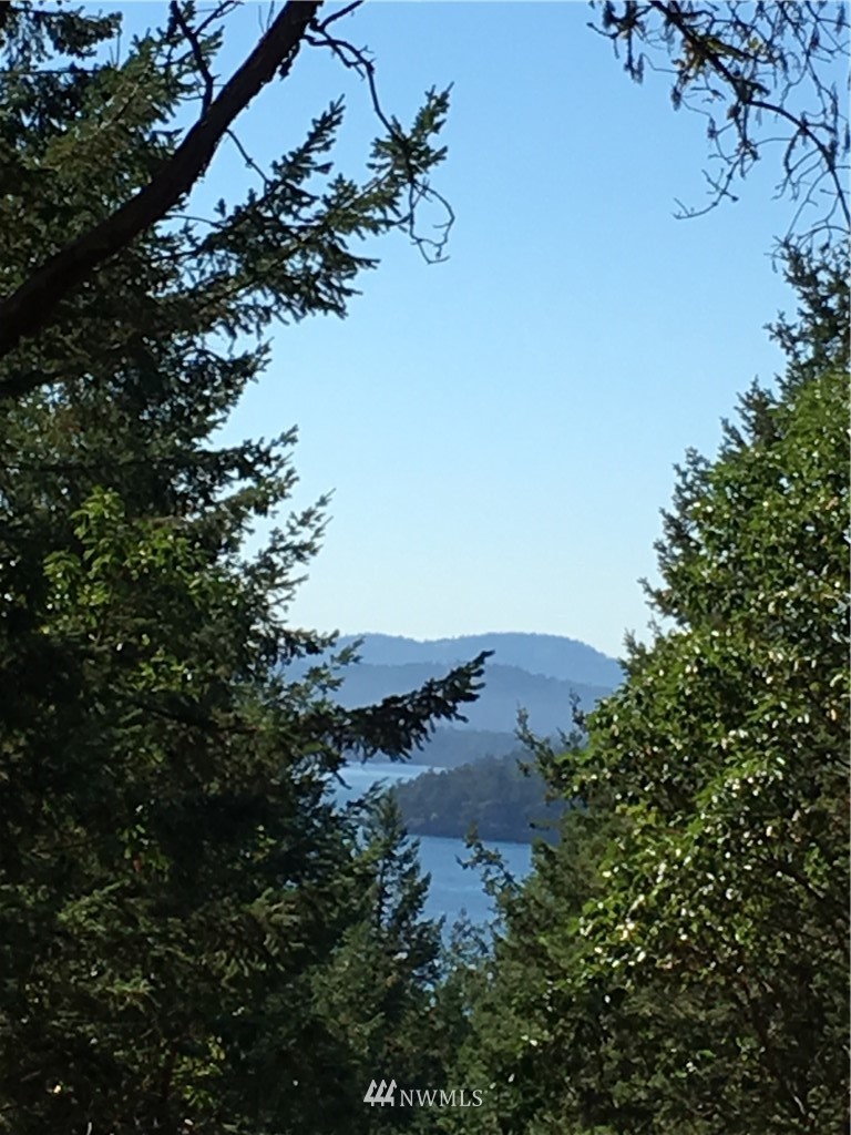 49 Exton Road Orcas Island, WA 98280 - Photo 5 of 9 Gallery Image 5