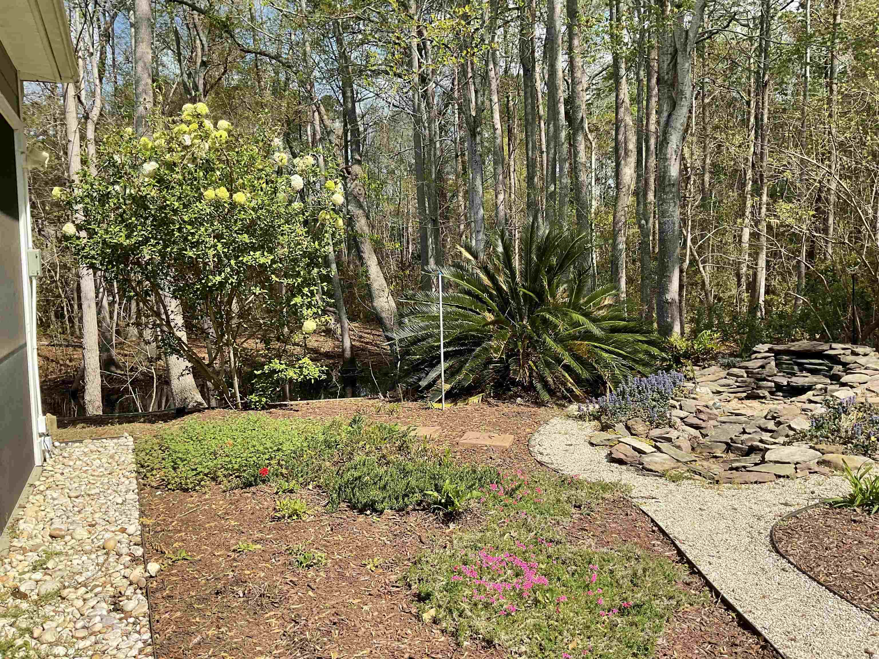242 Hyacinth Loop Murrells Inlet, SC 29576 - Photo 33 of 44