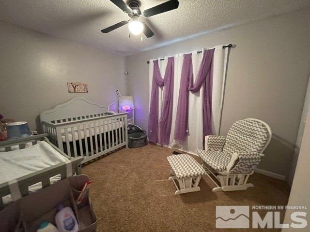 1228 Roberson Lane Fallon, NV 89406 - Photo 10 of 16 Photo 10