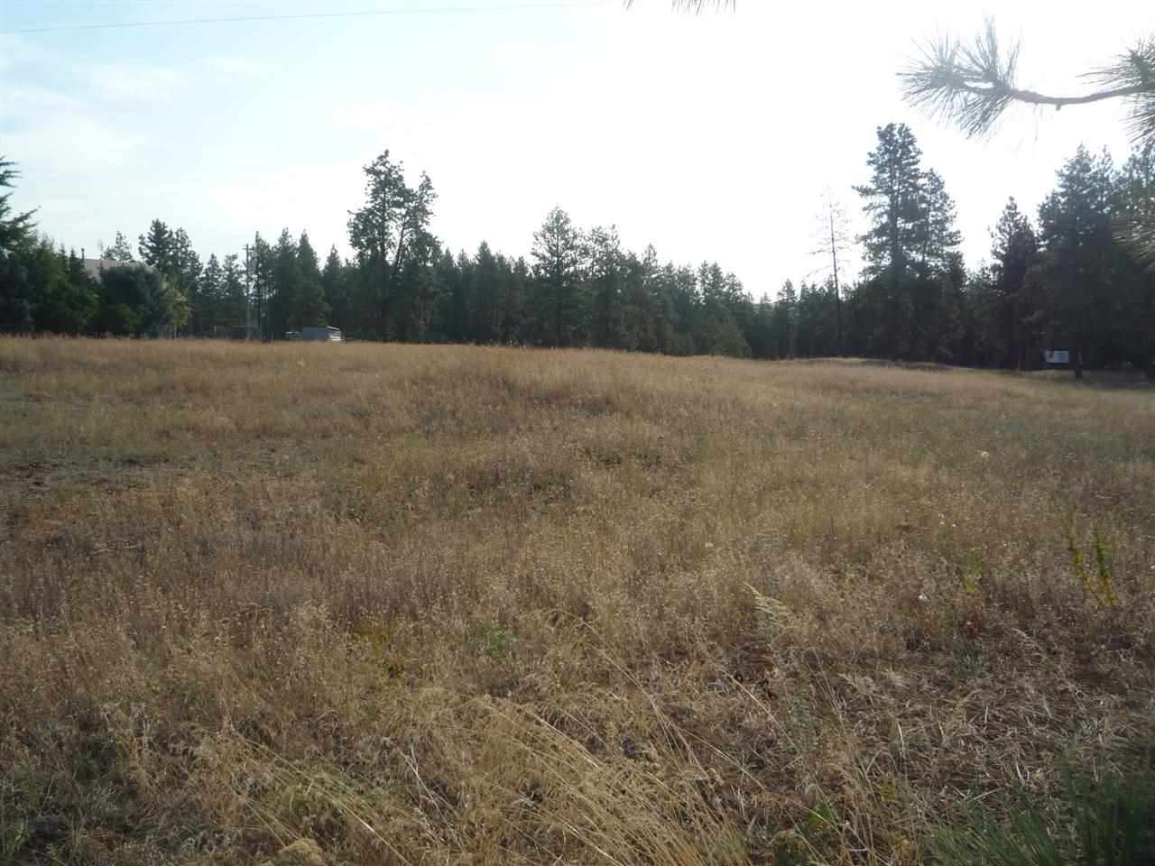 205-xx South Yale Road Spangle, WA 99031 - Photo 2 of 8