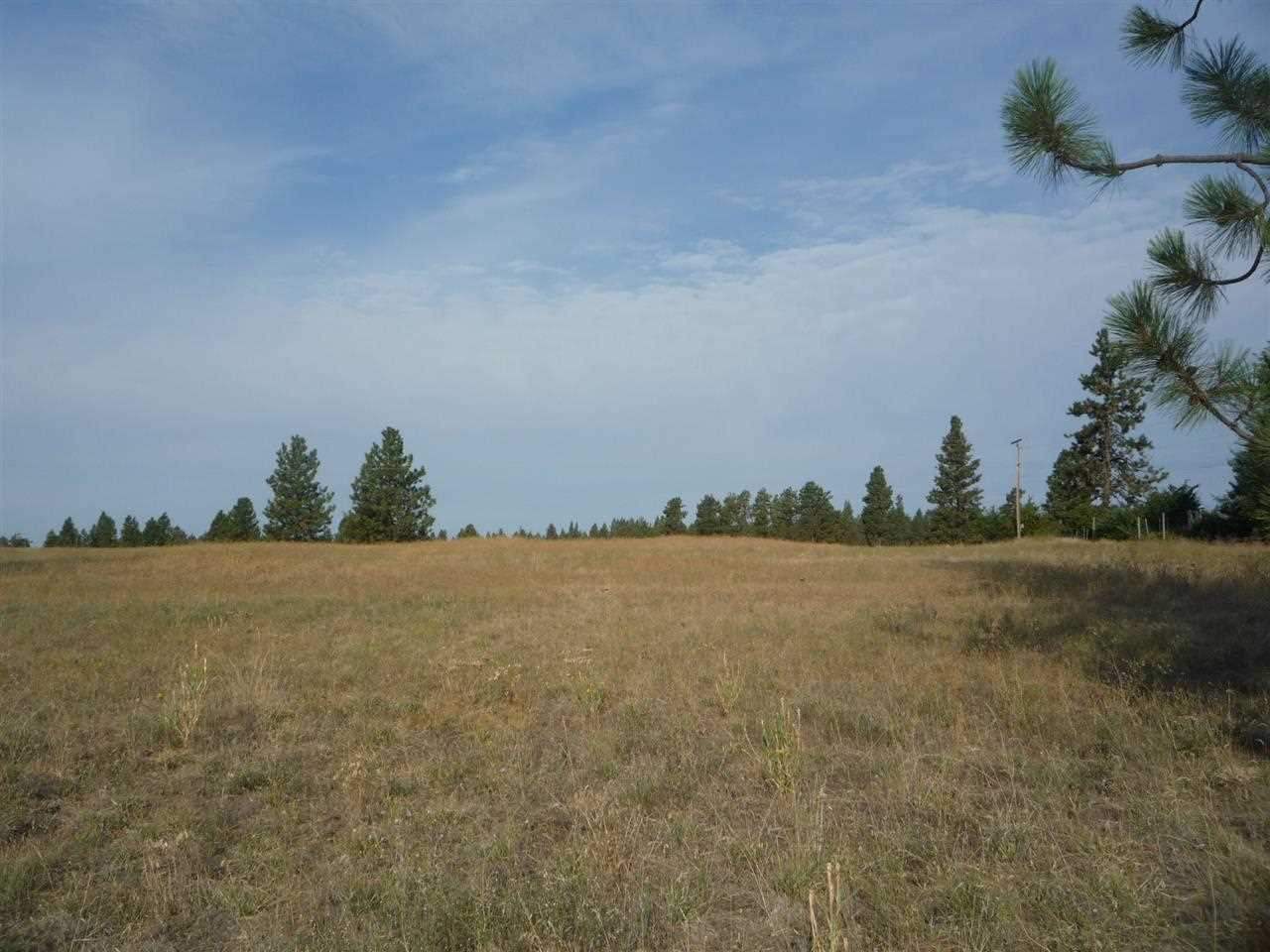 205-xx South Yale Road Spangle, WA 99031 - Photo 3 of 8