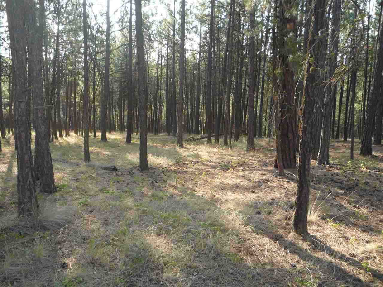 205-xx South Yale Road Spangle, WA 99031 - Photo 4 of 8